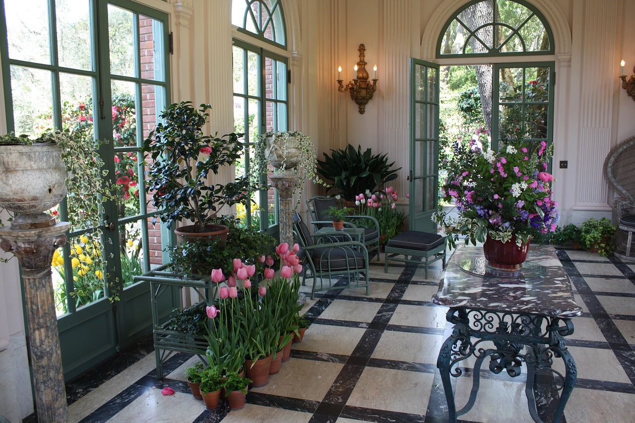 Discover the Wonder of Indoor Gardening: Creating a Lush, Living Sanctuary | Sisu Essence