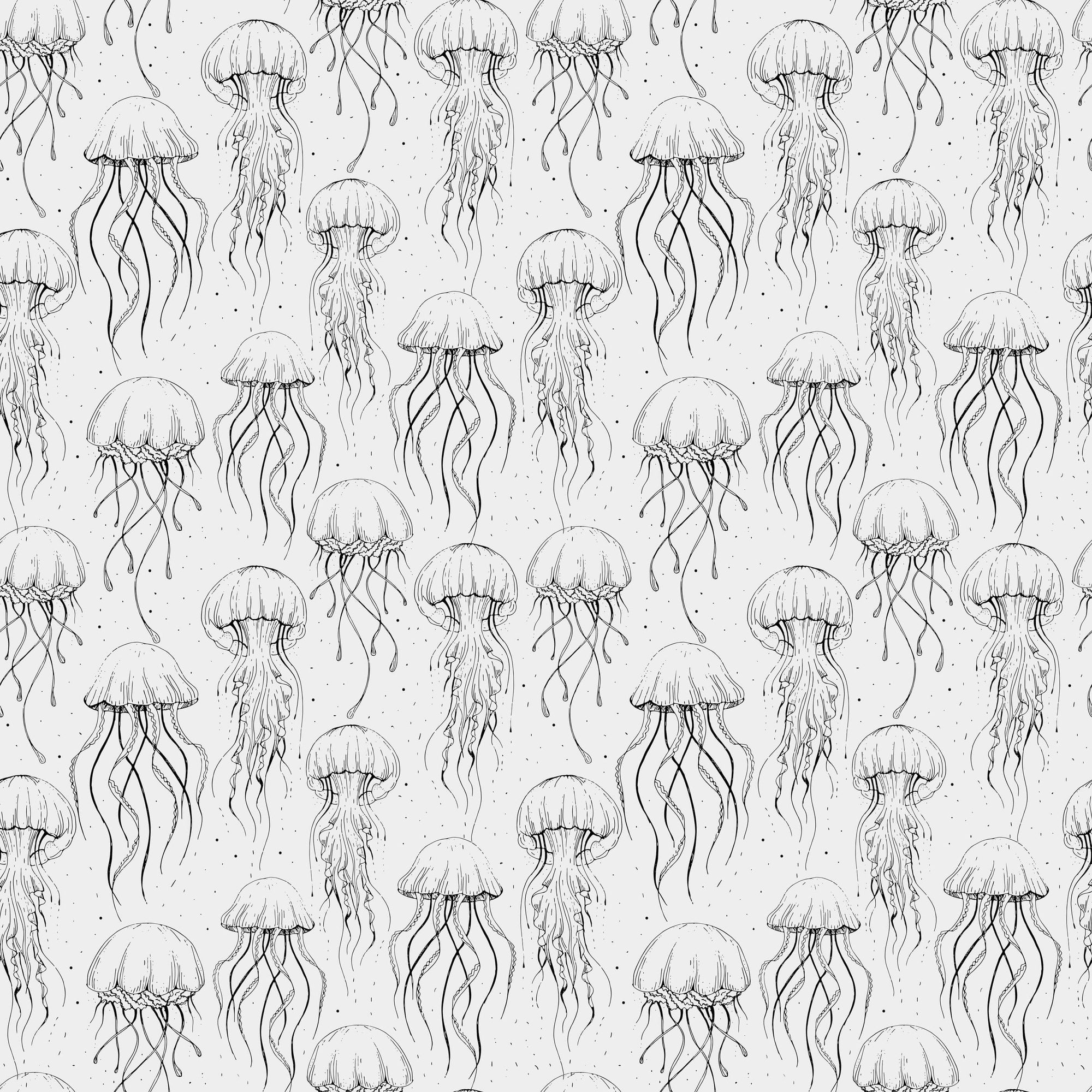 Larkom Woof Kang | S251107 |