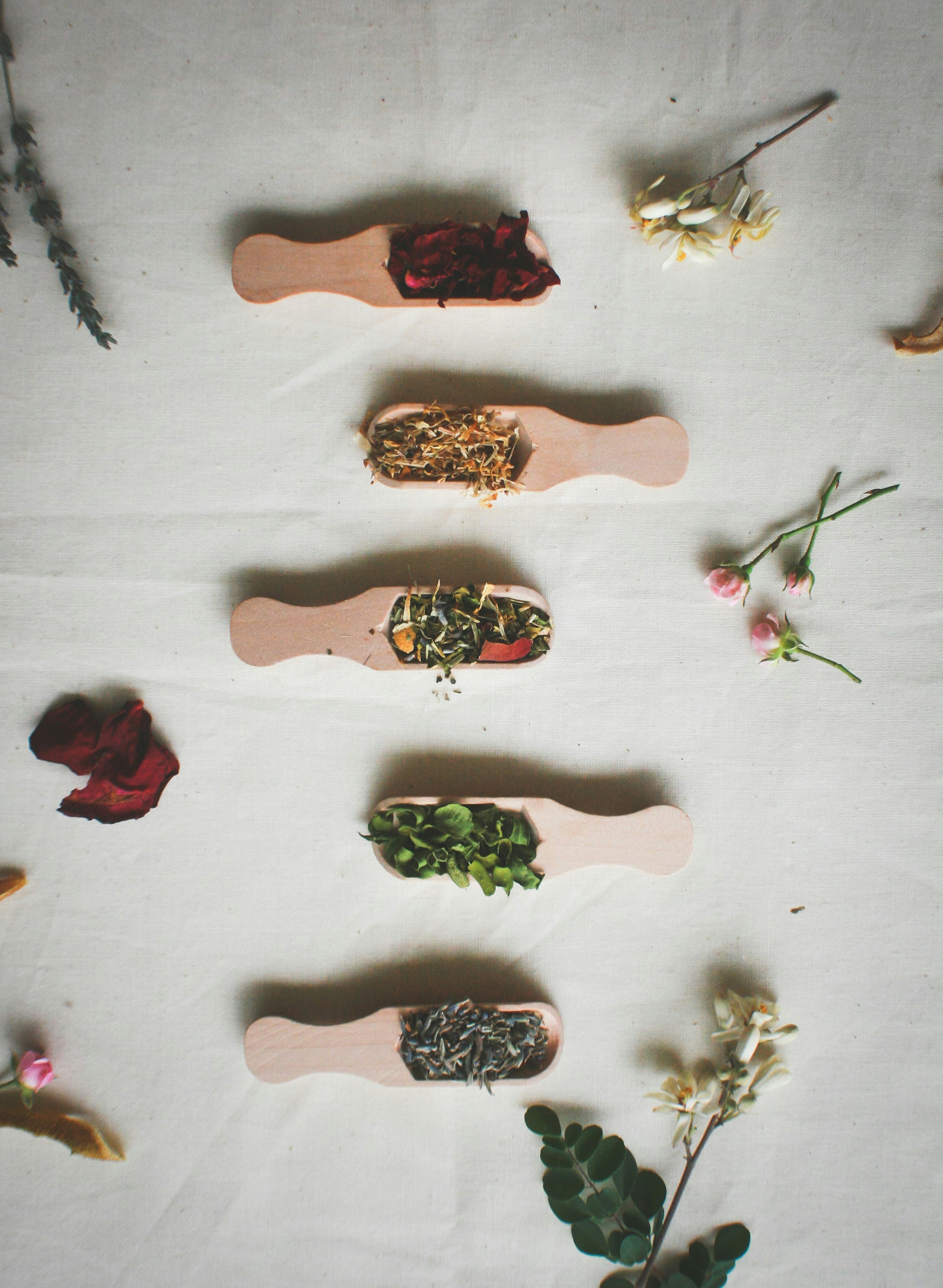 sisuverse-fragrance-notes-herbs-flowers-natural-ingredients.jpg