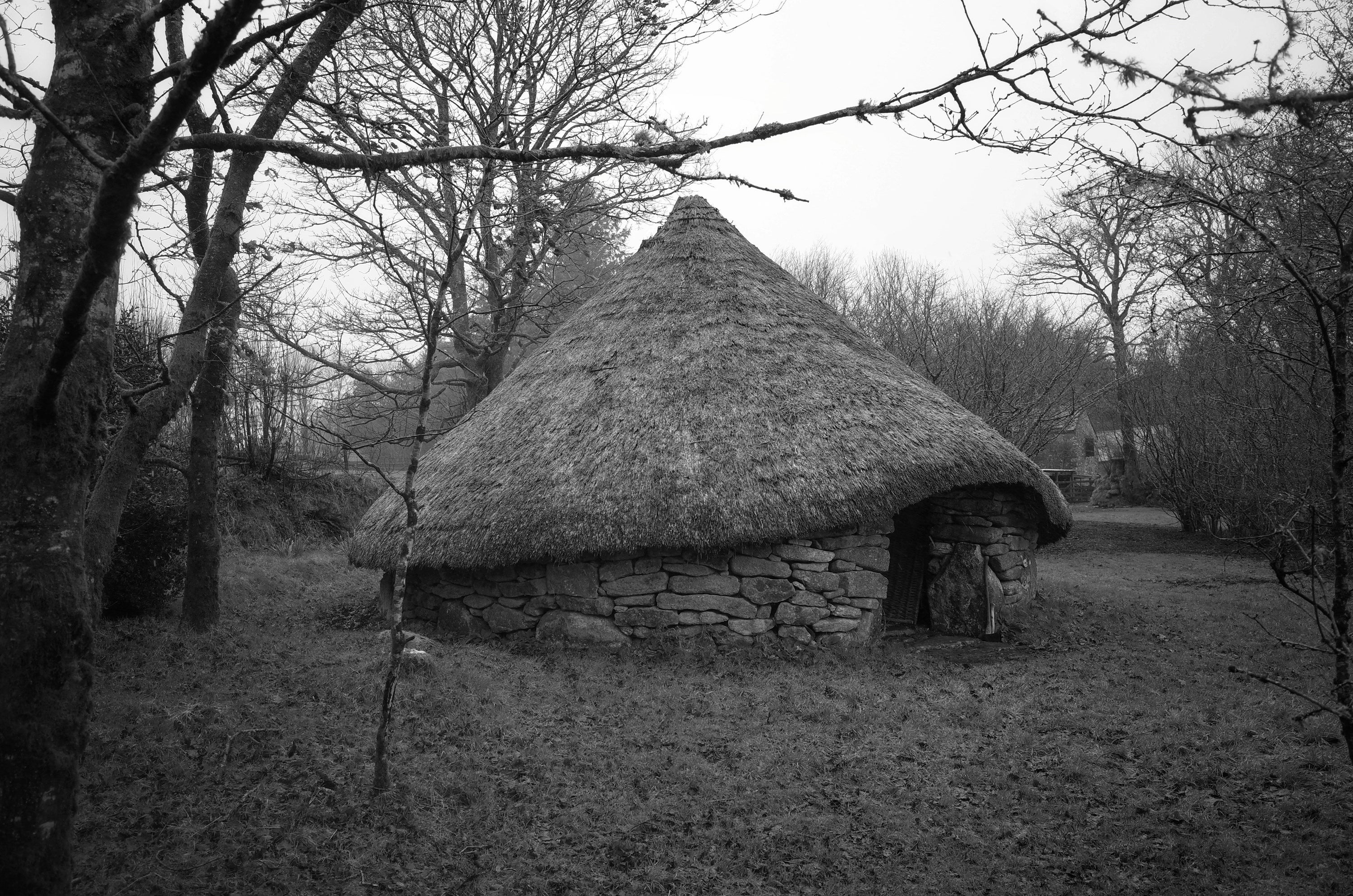 The Language of Thatch: When Roofs Were Woven from the Land