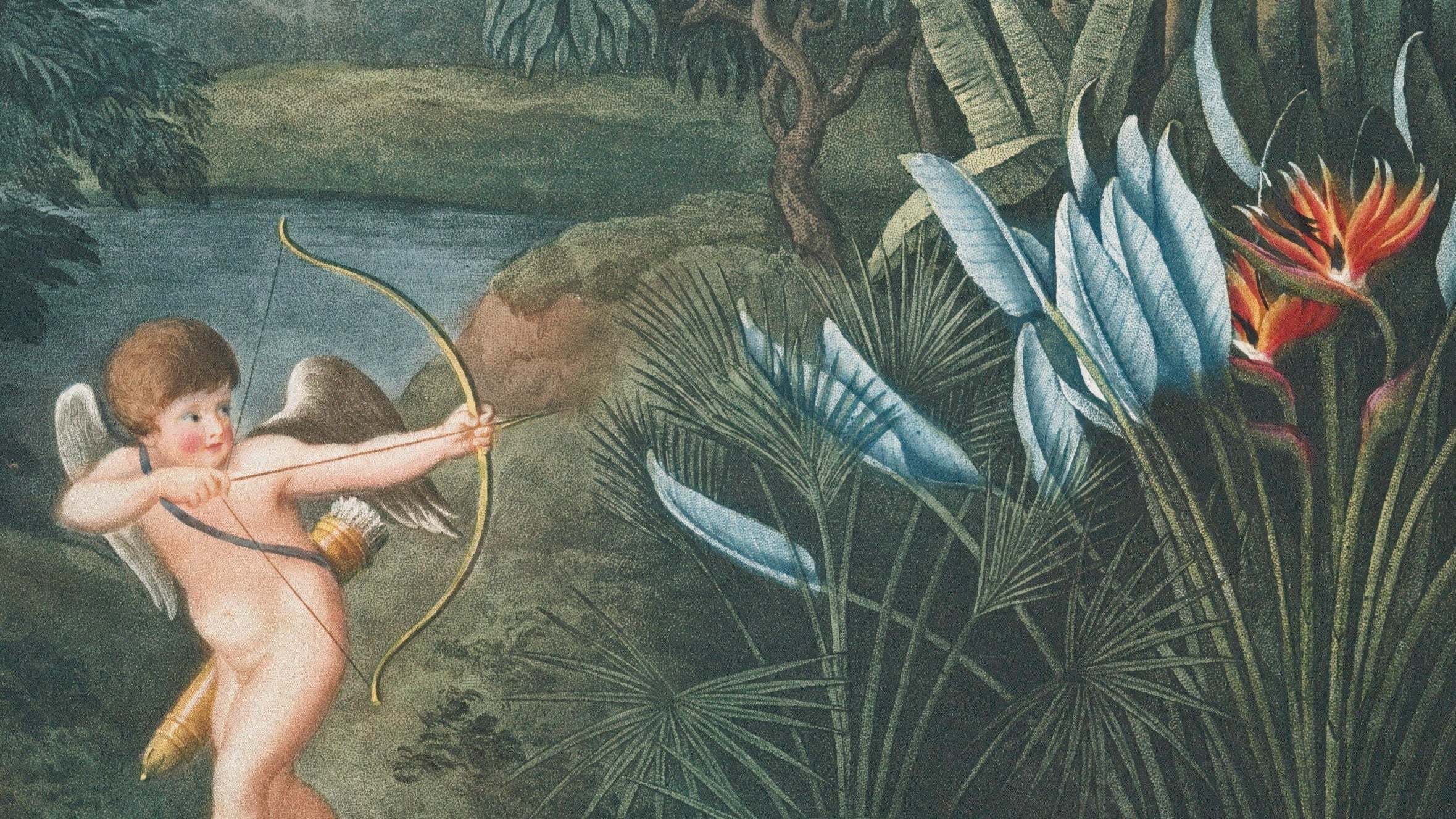 Botanical Prints: From Pressed Specimens To Contemporary Wallpaper