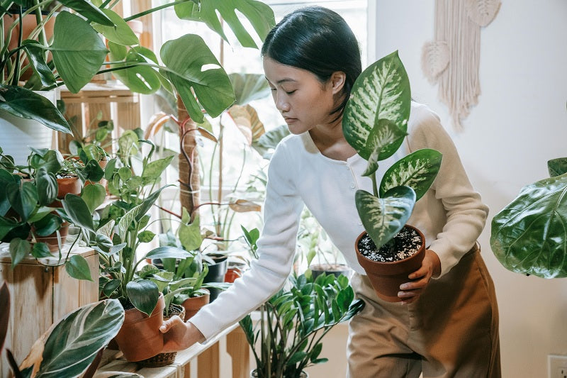 indoor gardening