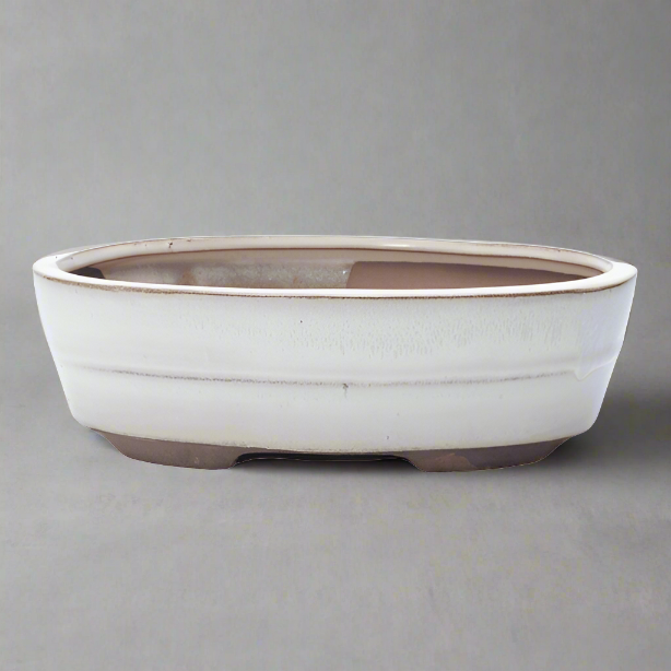 20cm Glazed Bonsai Pot | Oval | 20cm x 17cm x 5cm | White S25862