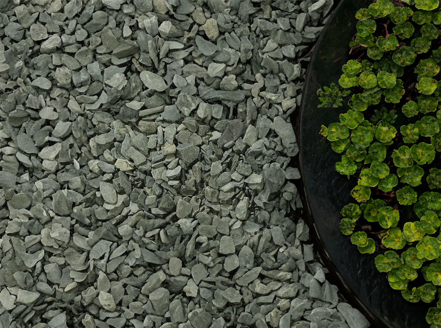 20mm Green Slate Chippings | S251471