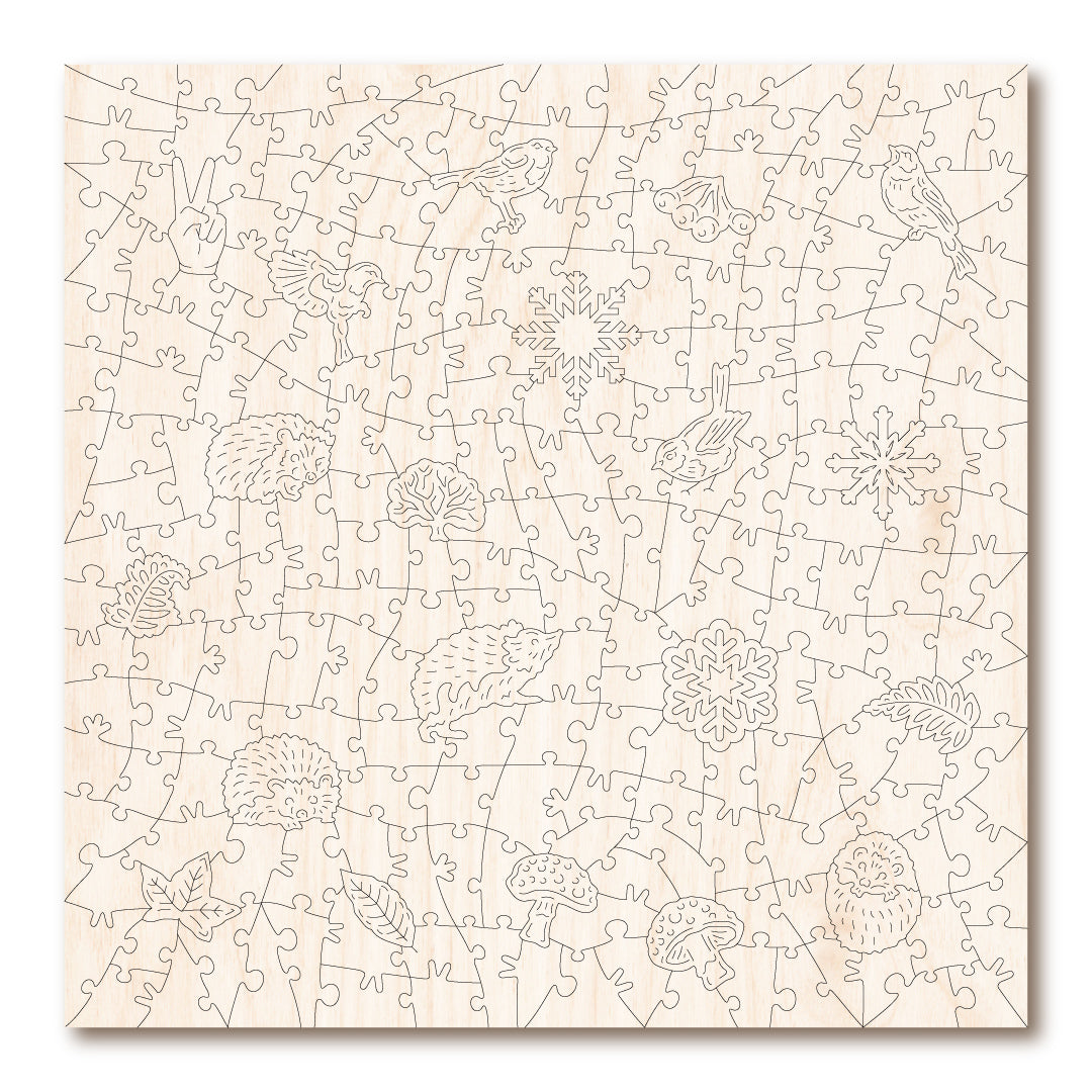 Snowy Hedgehog & Robin  | S251292