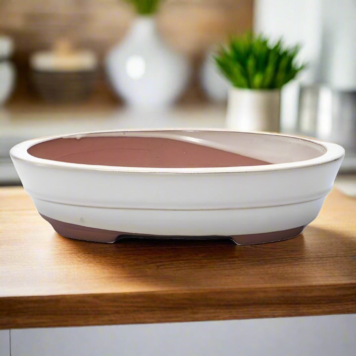 26cm Glazed Bonsai Pot | Oval | 26cm x 20cm x 6cm | White  S25873