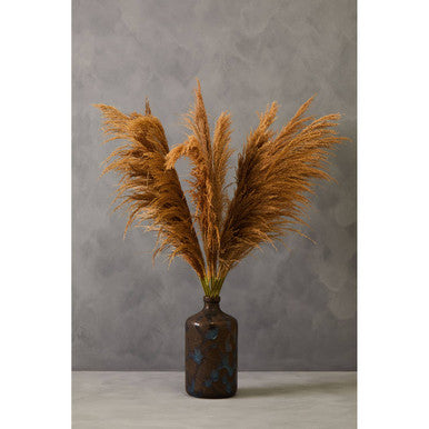 Fiori Natural Stem Pampas Grass