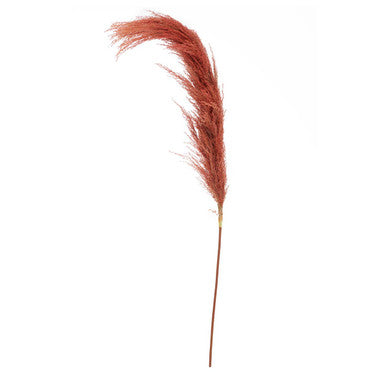 Fiori Pampas Grass Orange Stem