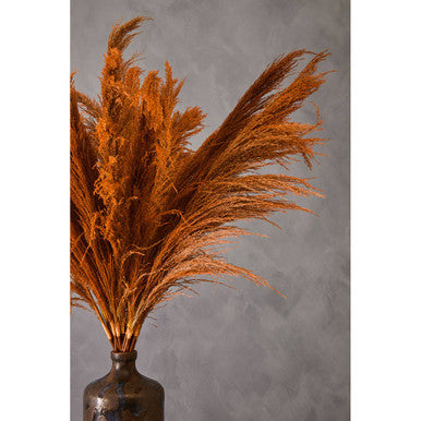 Fiori Pampas Grass Orange Stem