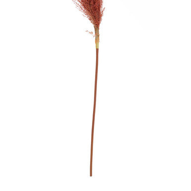 Fiori Pampas Grass Orange Stem