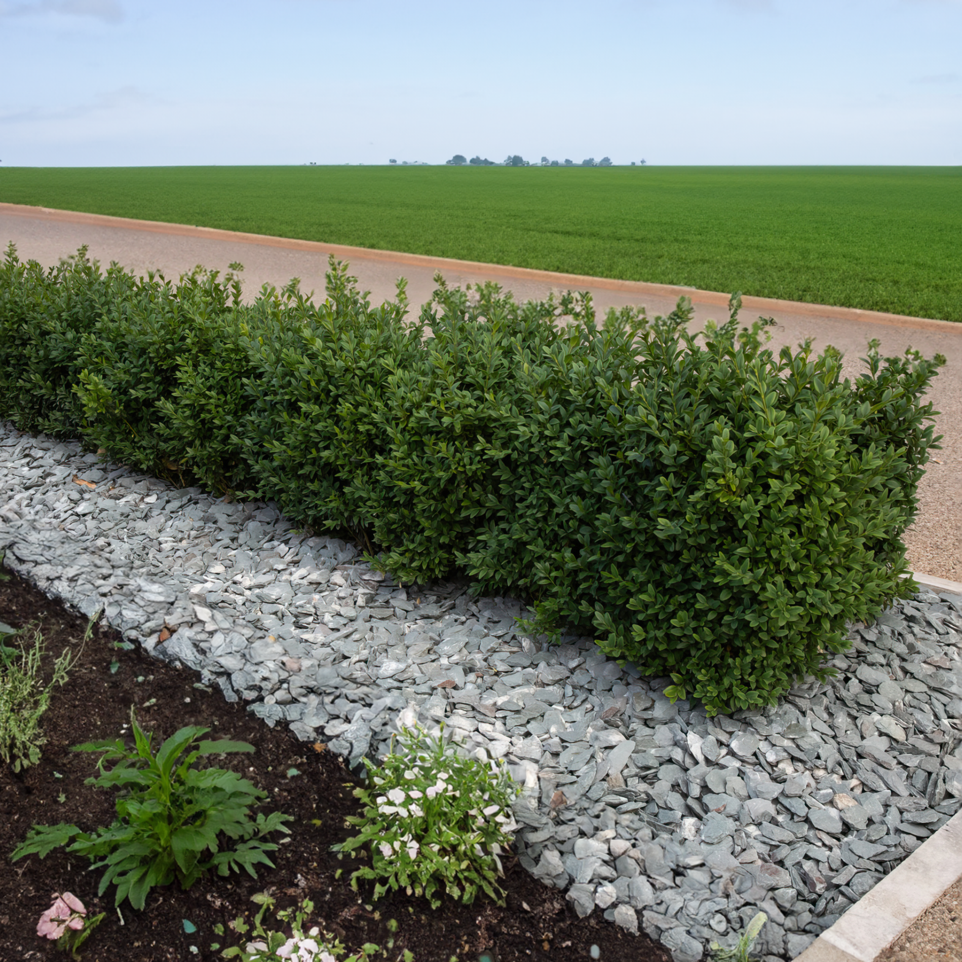 40mm Green Slate Chippings  | S251466