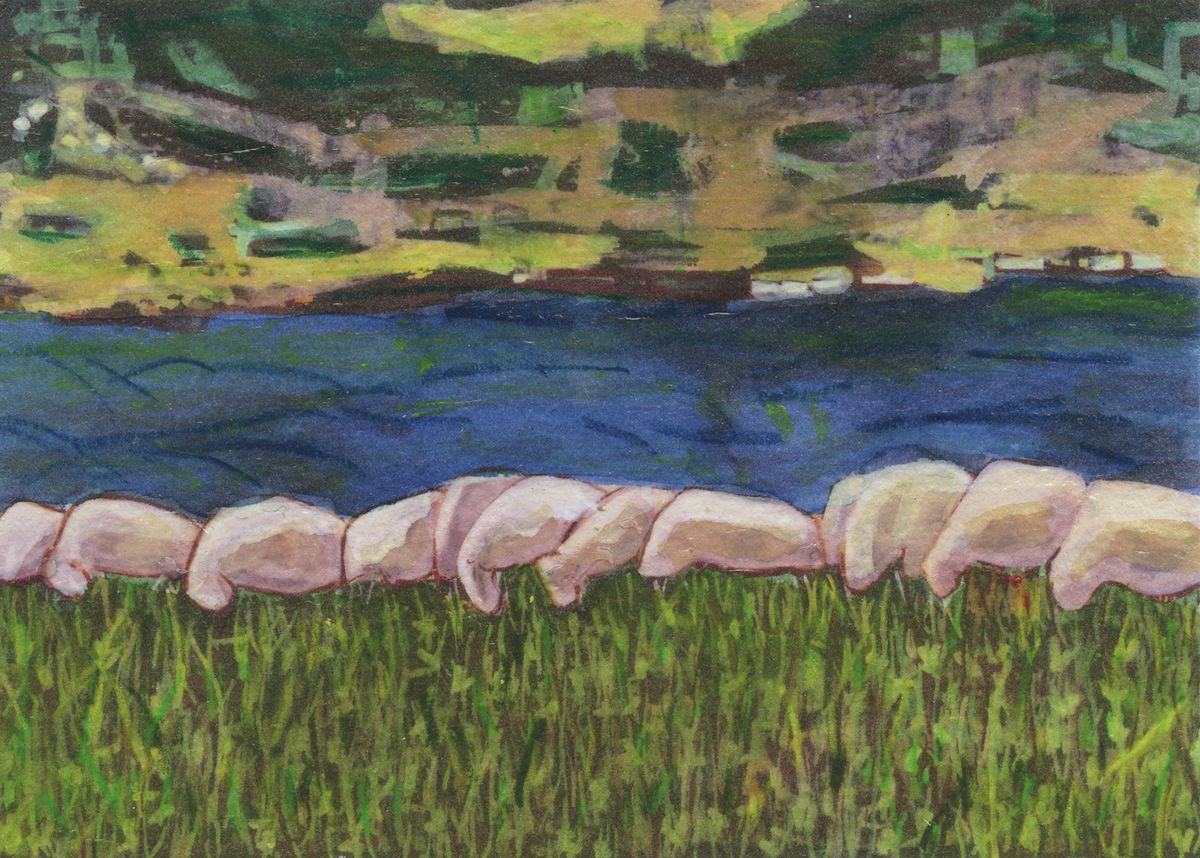 Jason Gibilaro - Sheep Divide | S25427