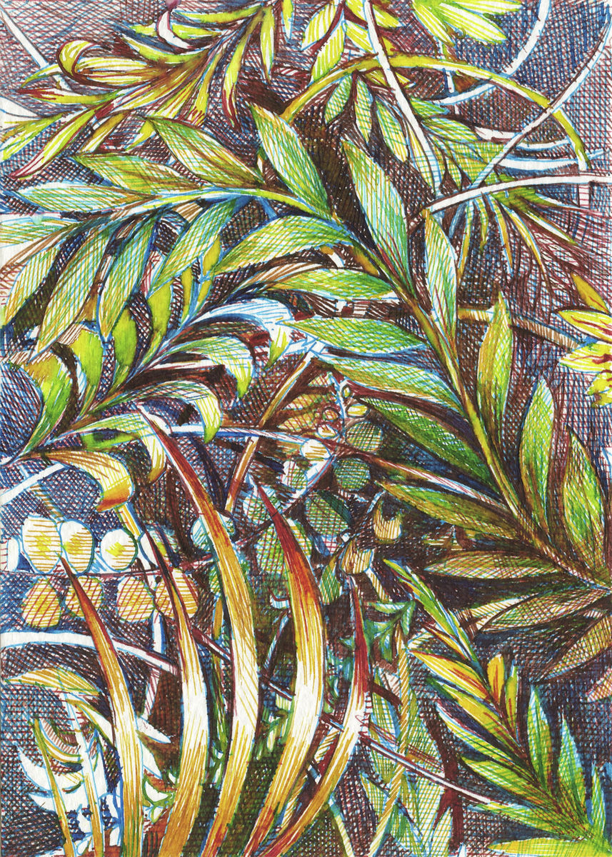 Carne Griffiths - Undergrowth | S25416