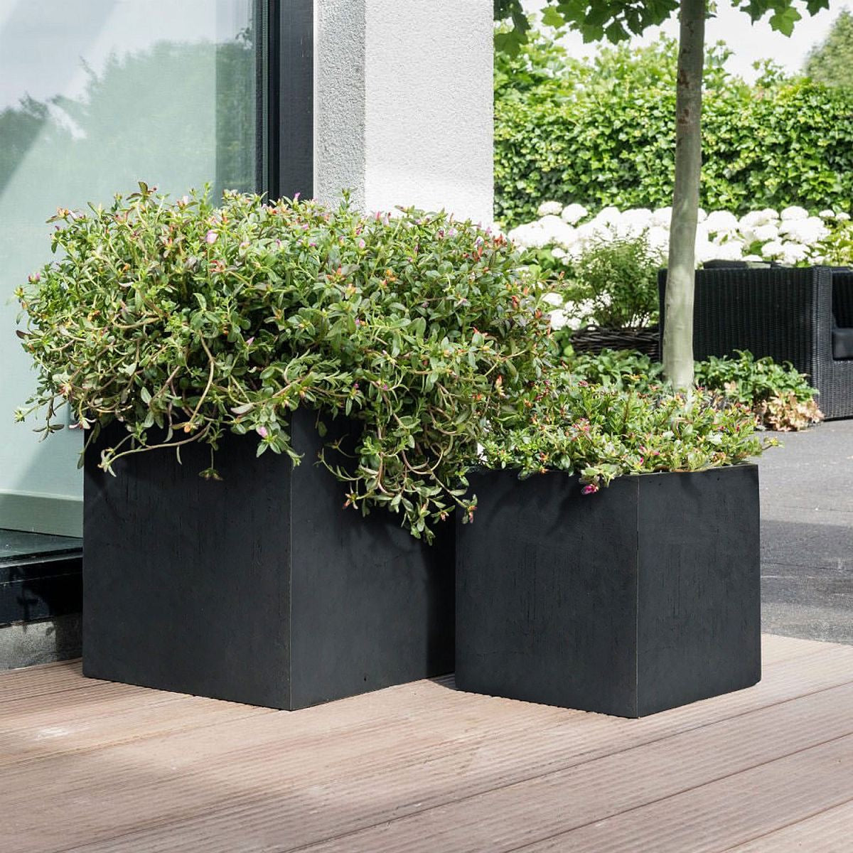 IDEALIST Lite Contemporary Flower Box  | S25351 | Square Garden Planter, Faux Lead Light Concrete Outdoor Large Plant Pot H60 L60 W60 cm, 195L