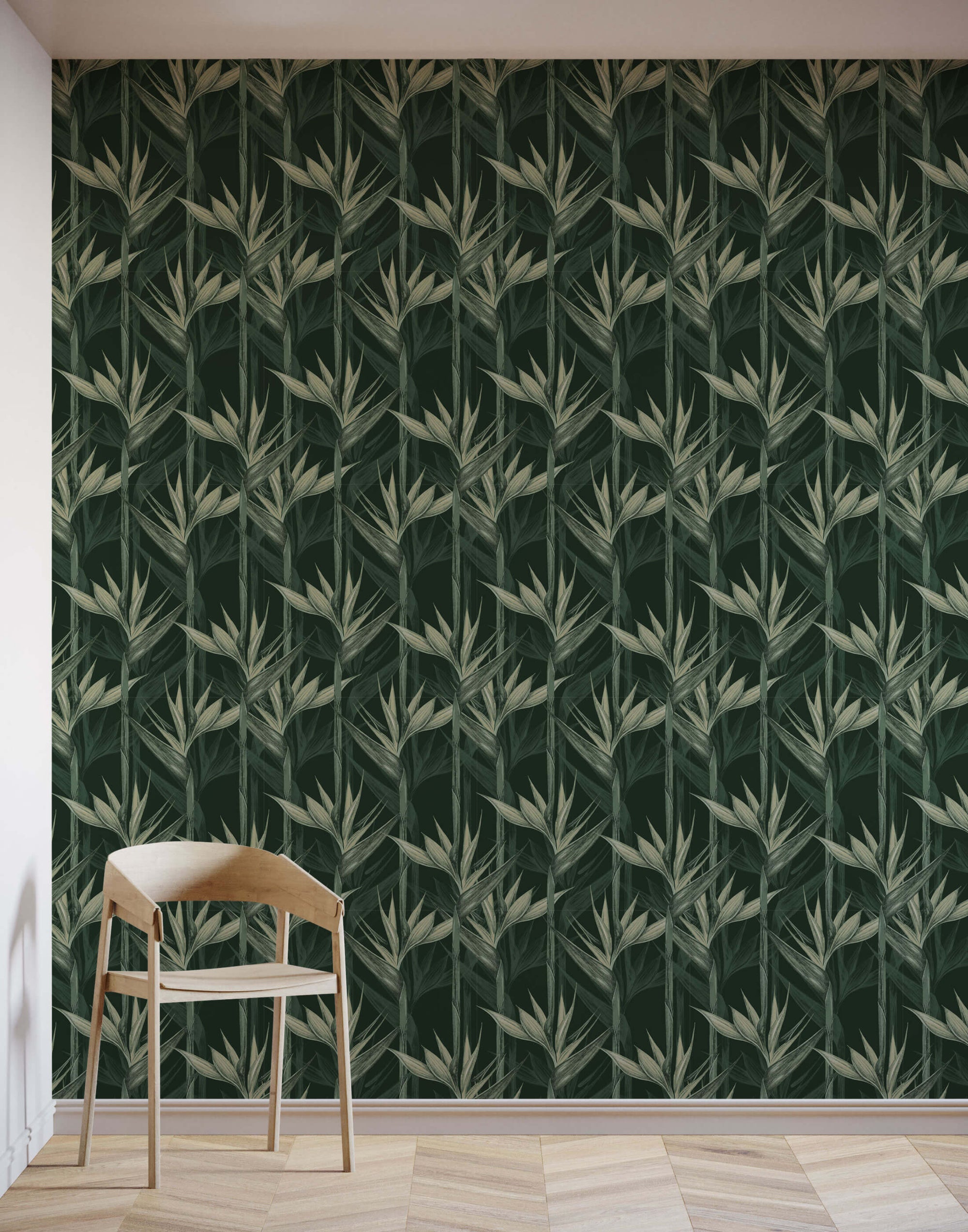 Amazonia  | S251173 |