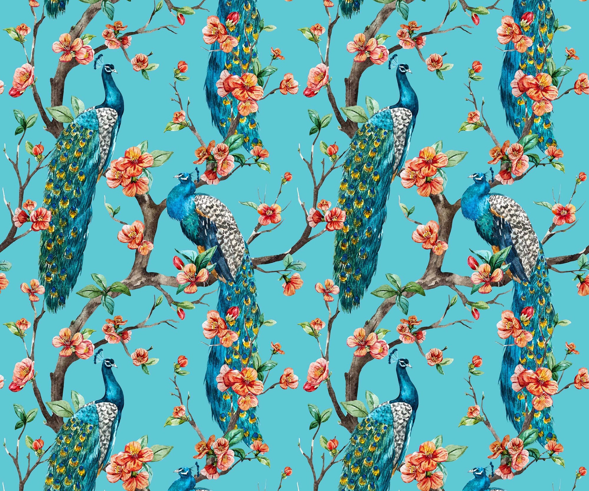 Annabel  | S251125 |