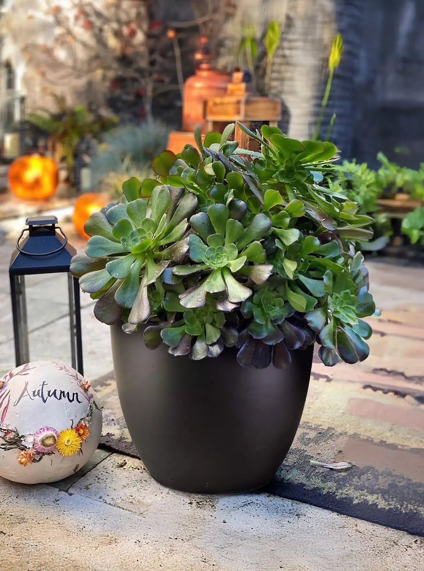 IDEALIST Lite 50cm Large Garden Planter for Trees |  | S25344 |Washed Light Concrete Egg Round Planter | Contemporary Outdoor Plant Pot D50 H50 cm, 98L