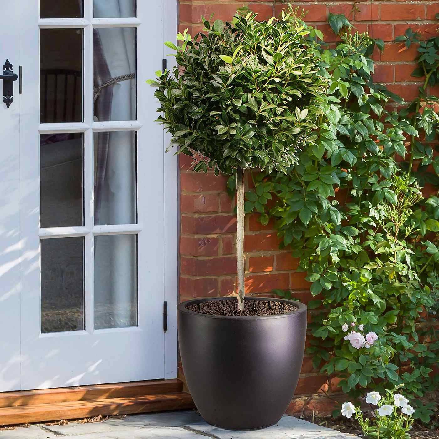IDEALIST Lite 50cm Large Garden Planter for Trees |  | S25344 |Washed Light Concrete Egg Round Planter | Contemporary Outdoor Plant Pot D50 H50 cm, 98L