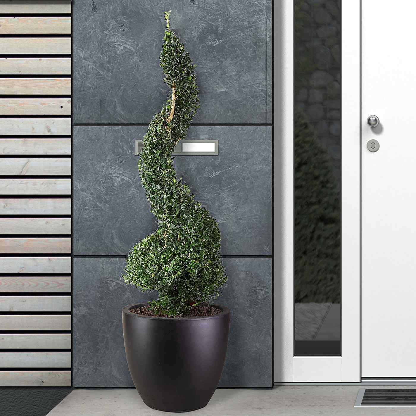 IDEALIST Lite 50cm Large Garden Planter for Trees |  | S25344 |Washed Light Concrete Egg Round Planter | Contemporary Outdoor Plant Pot D50 H50 cm, 98L