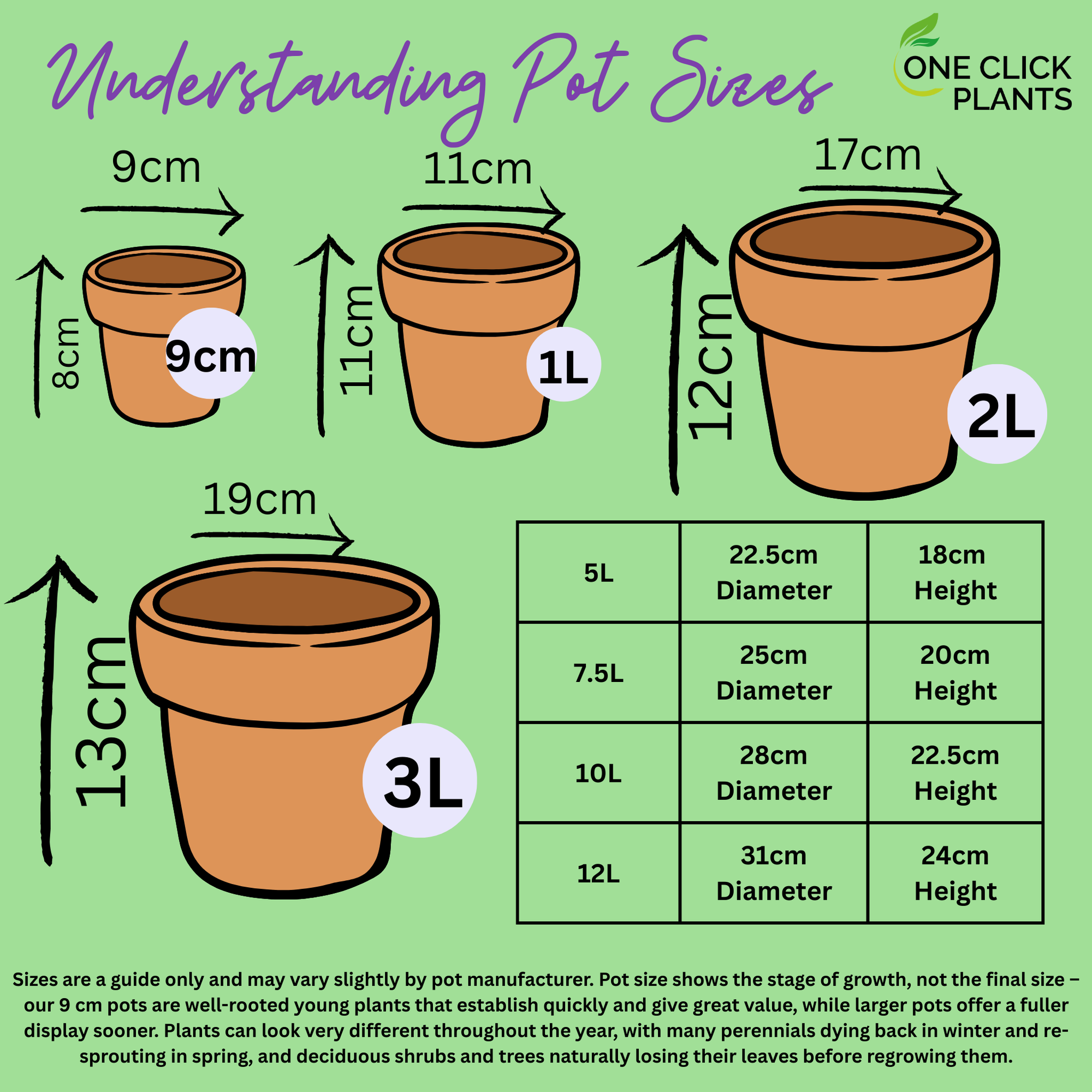 Cottage Garden Perennial Mix (3/6/10 Plants)  | S251752