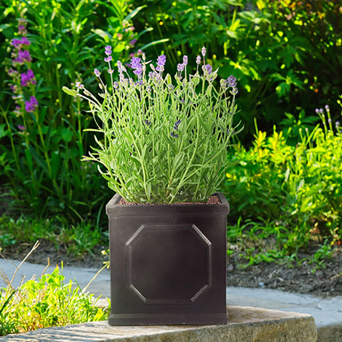 IDEALIST Lite Chelsea Flower Box Square Garden Planter, Faux Lead Light Stone Outdoor Plant | S25346 | Pot W22 H22 L22 cm, 11L