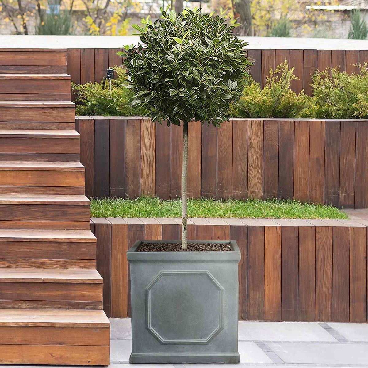 IDEALIST Lite Chelsea Flower Box Square Garden Planter, Faux Lead Grey Light Stone Outdoor   | S25349 | Large Plant Pot W45 H45 L45 cm, 91L