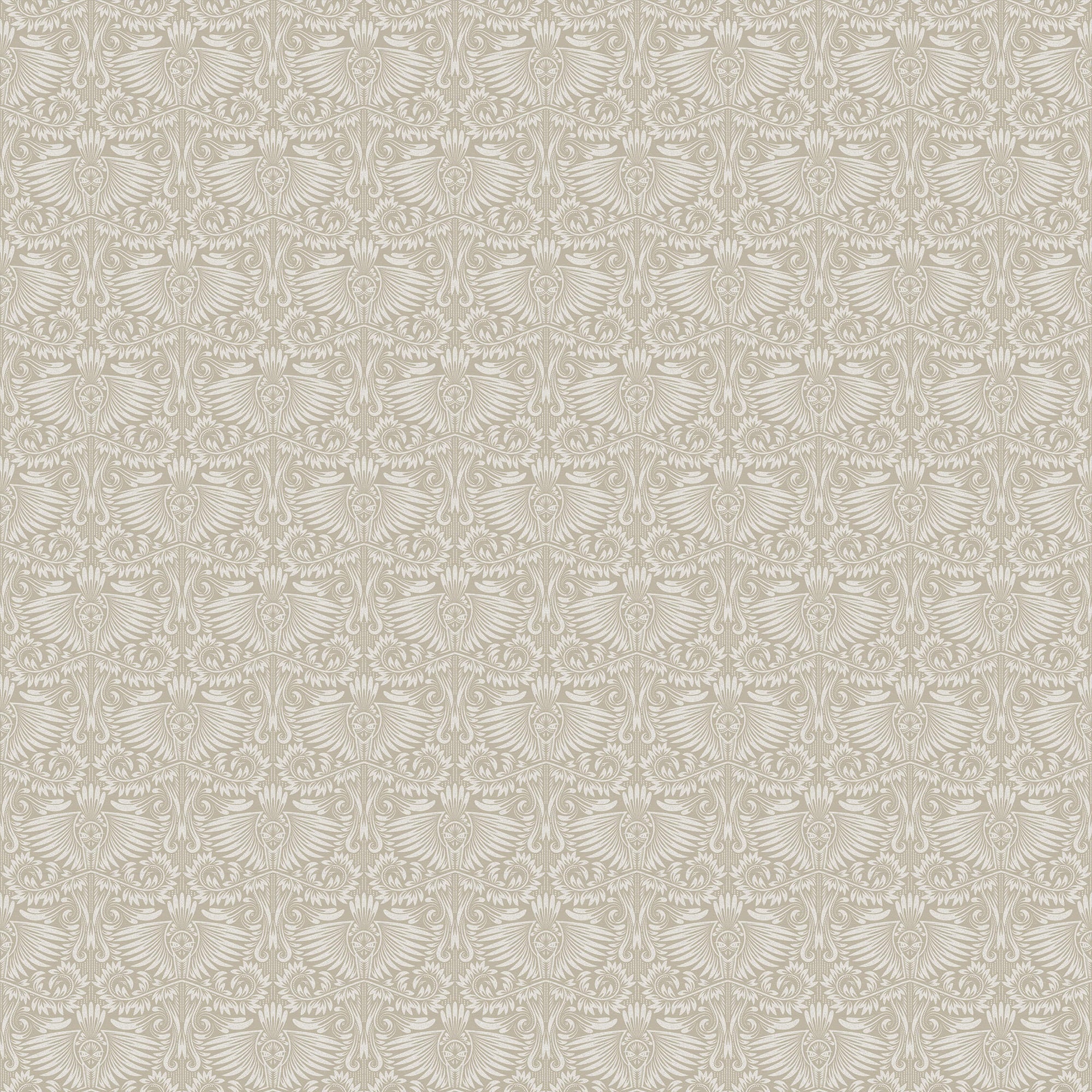 Darston  | S251046 |