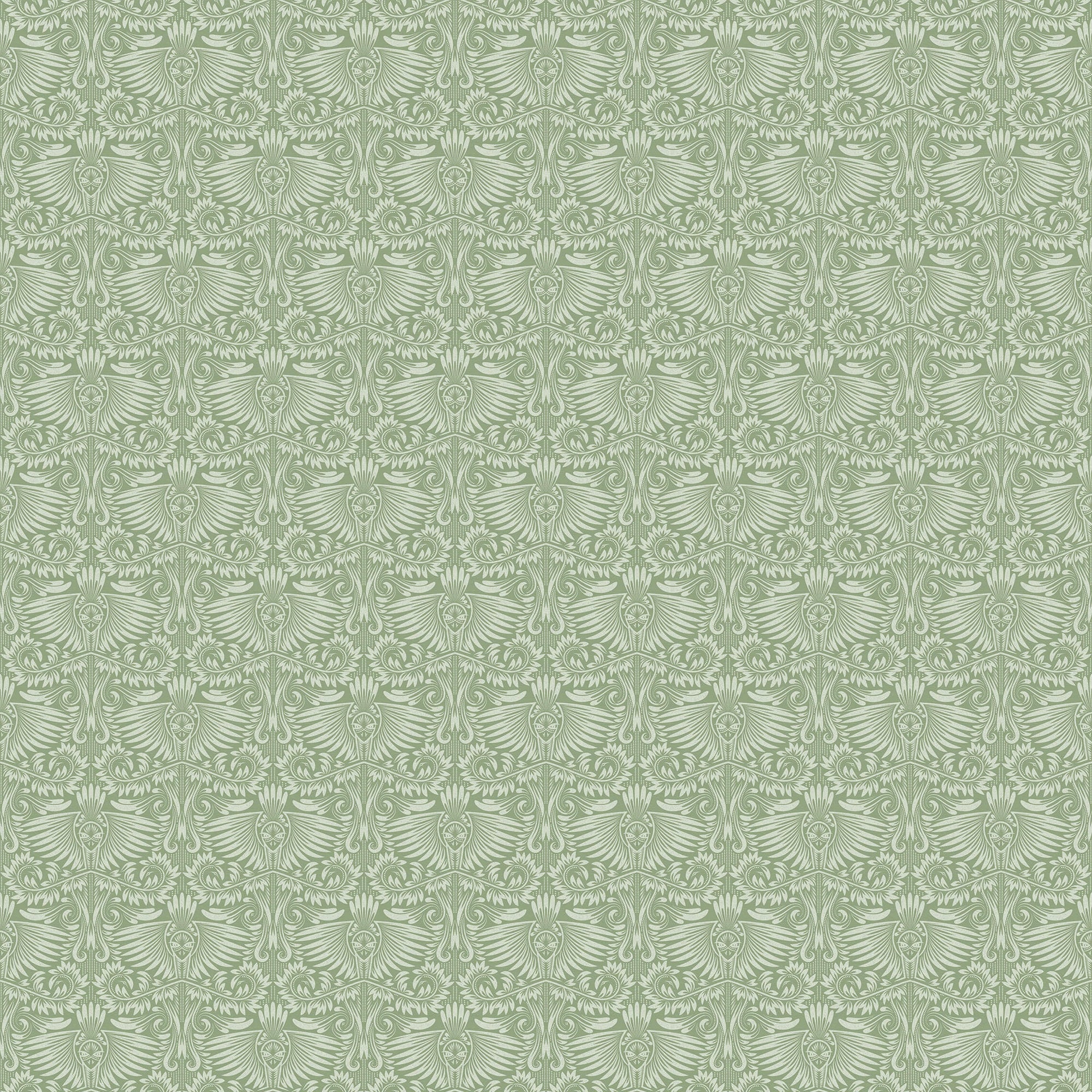 Darston  | S251046 |