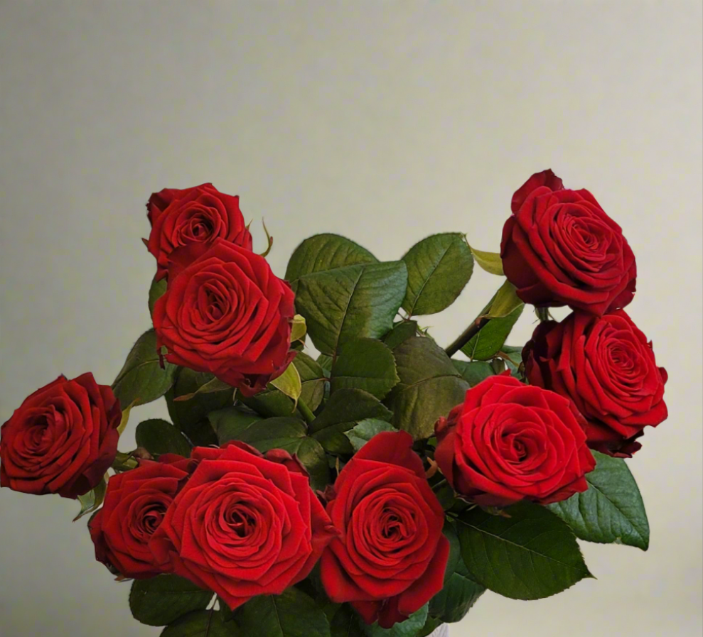 Red Naomi  | S25341