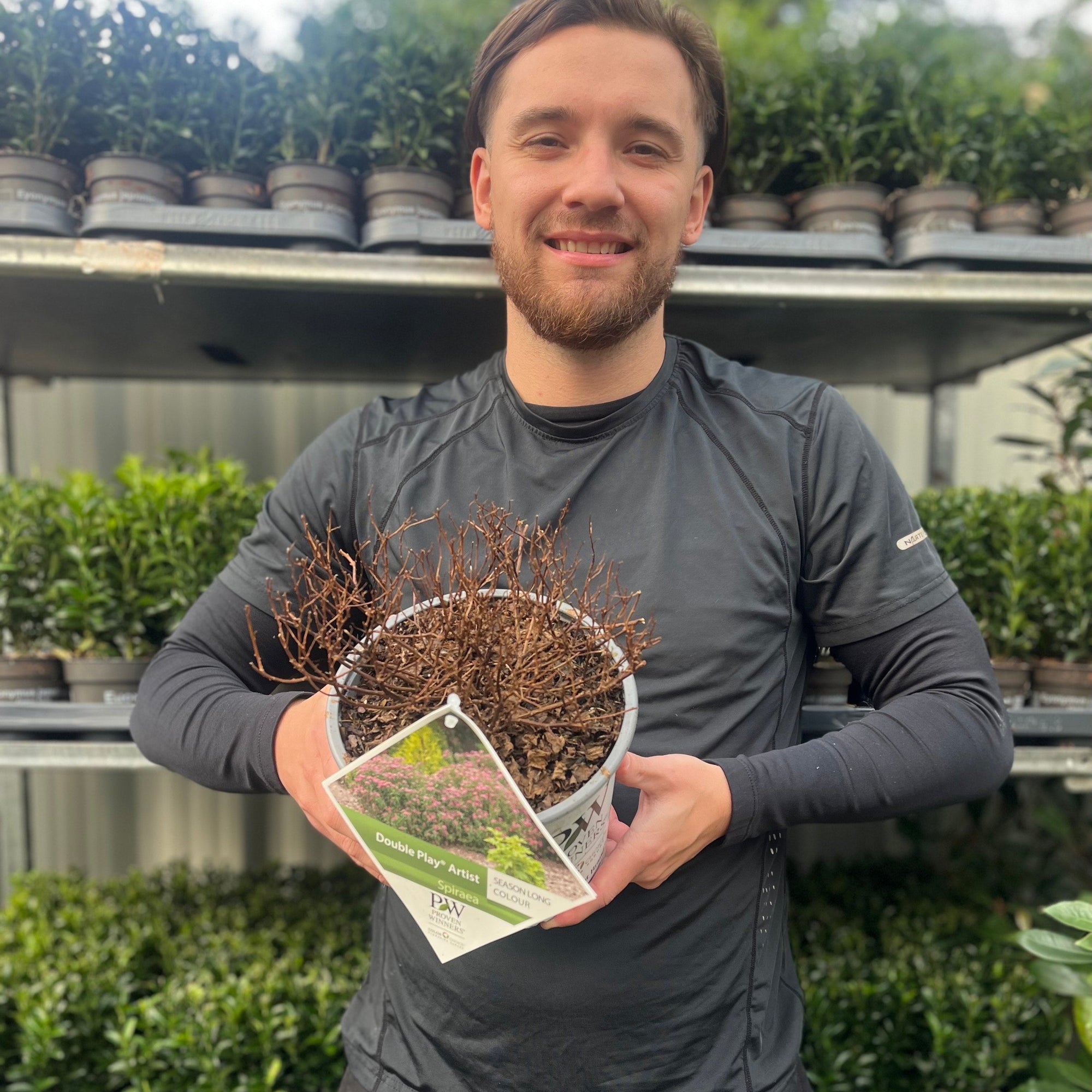 Spiraea Double Play 'Artist' 3L  | S251842