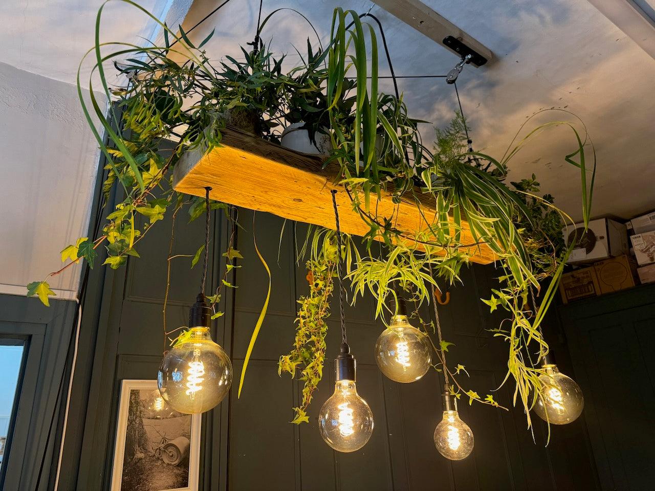 Wooden Beam Chandelier Water Resistant for Live Plant Display  | S251497