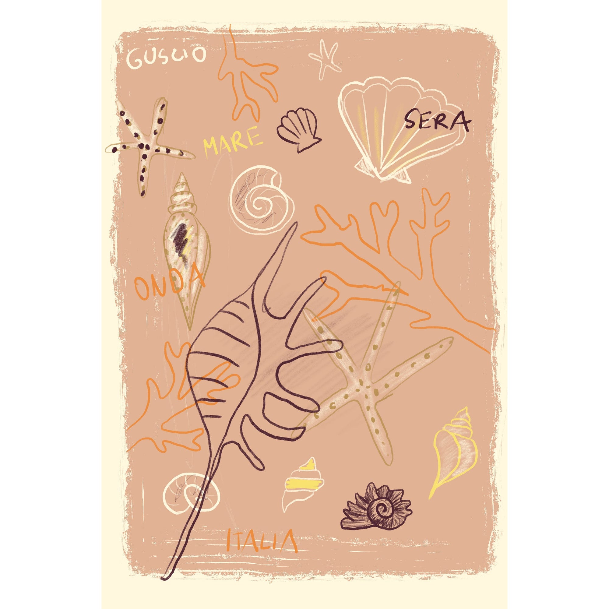 Shells Print | S251333