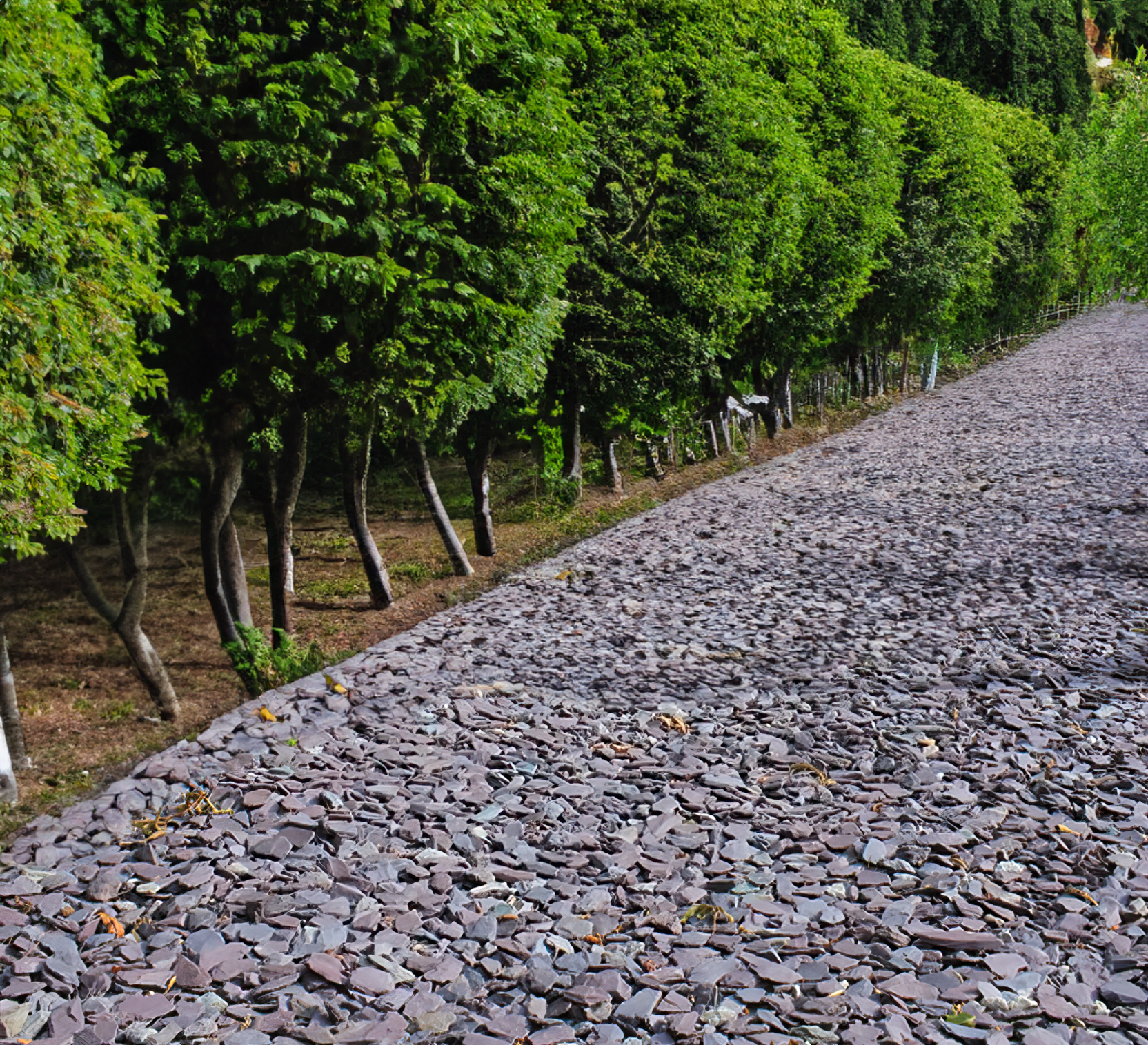 20mm Plum Slate Chippings  | S251467