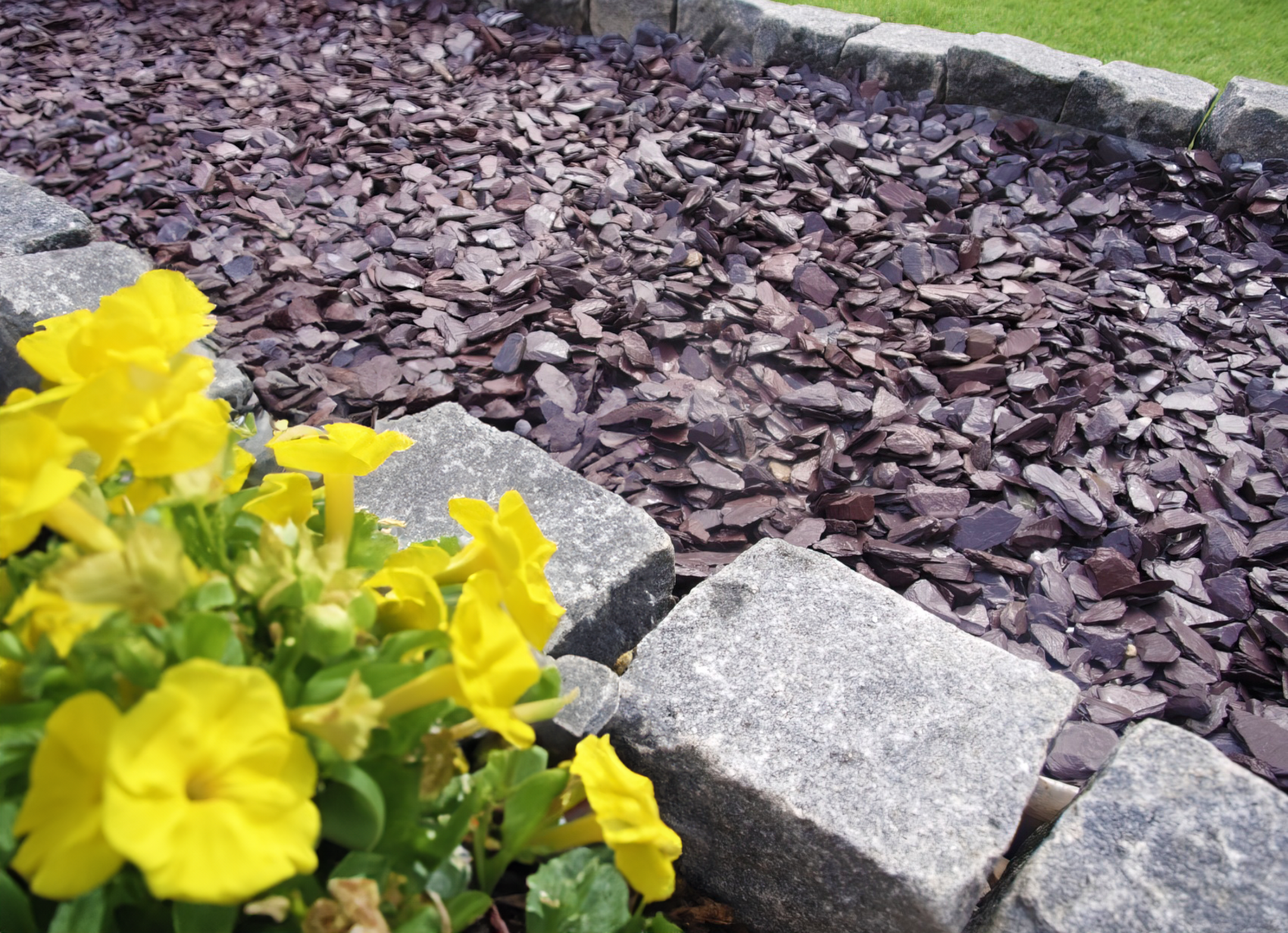 20mm Plum Slate Chippings  | S251467