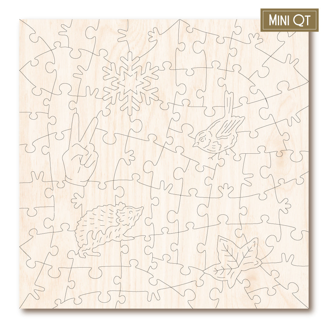 Snowy Hedgehog & Robin MINI QT | S251288