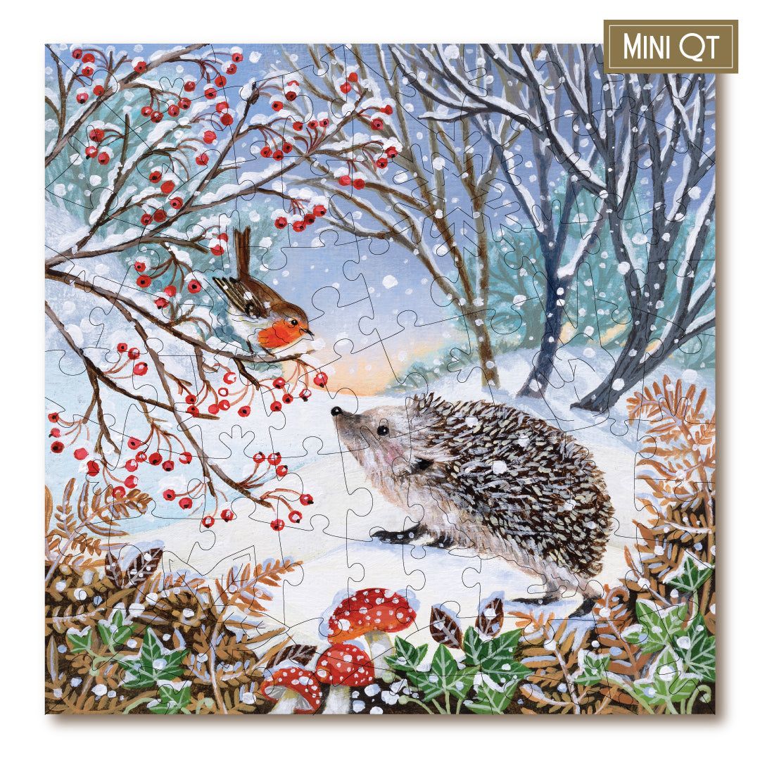 Snowy Hedgehog & Robin MINI QT | S251288