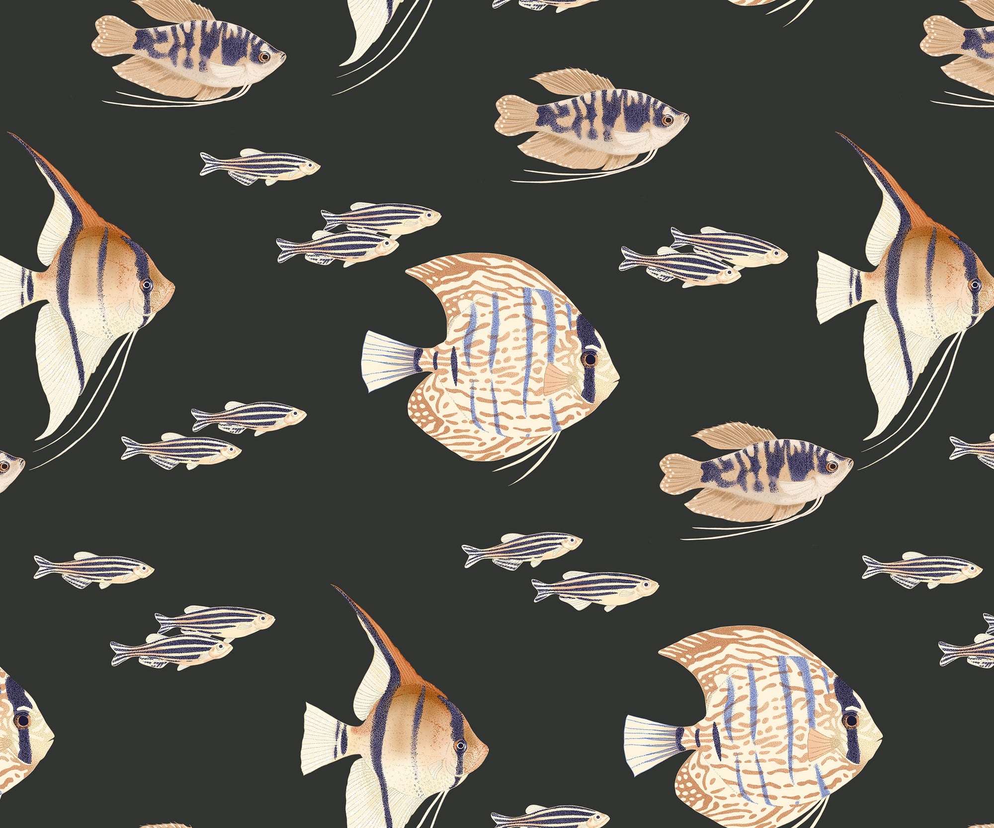 Shoal  | S251153