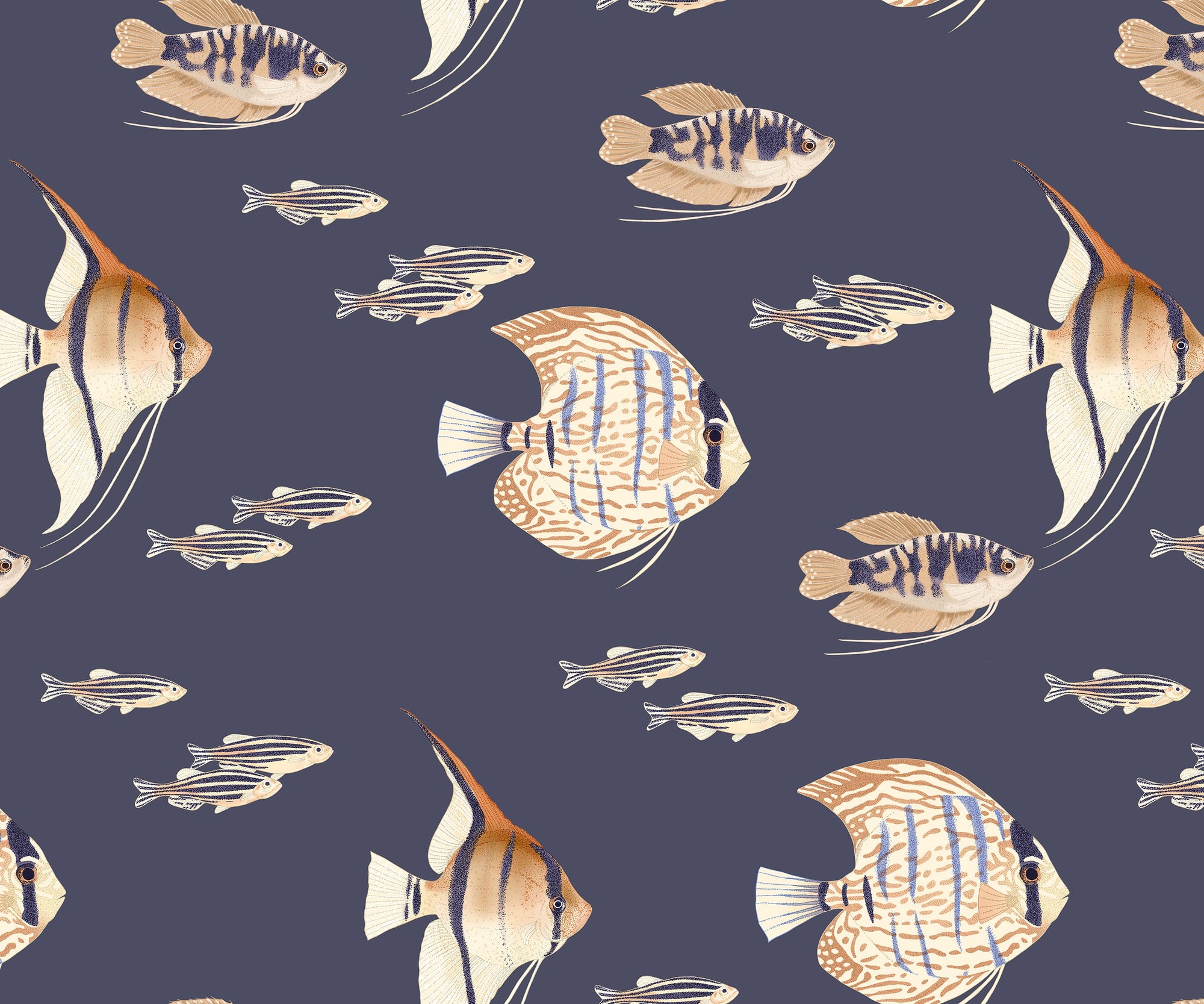Shoal  | S251153