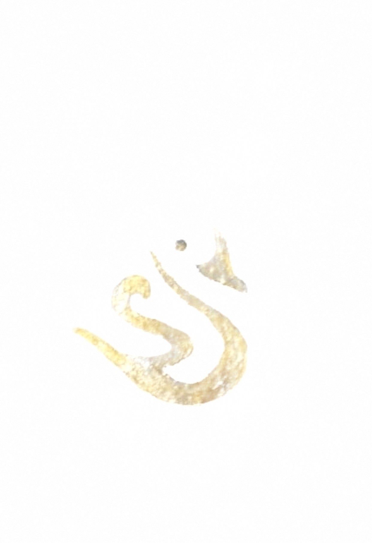 Logo of Sisu
