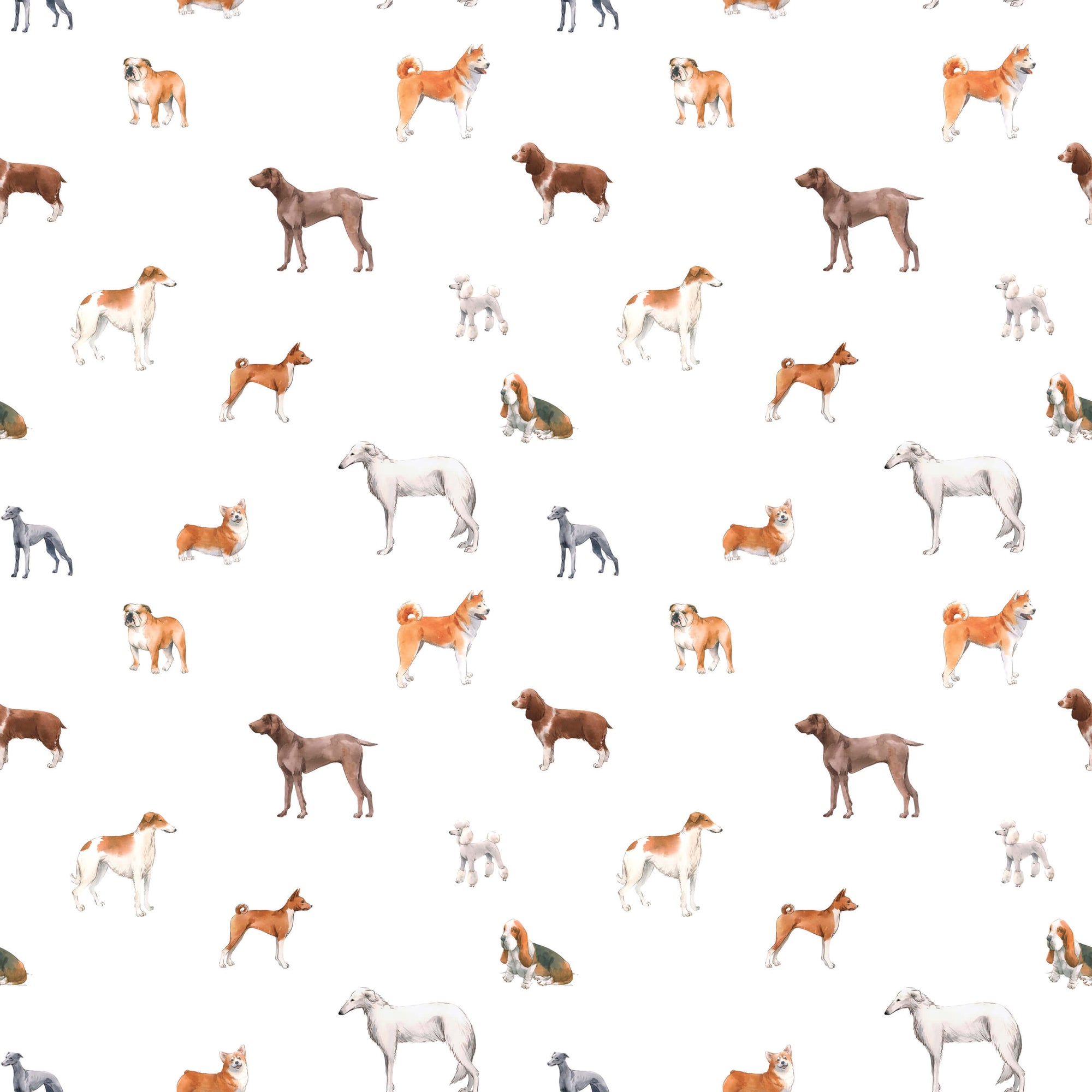 Walter Woof Kang | S251106 |