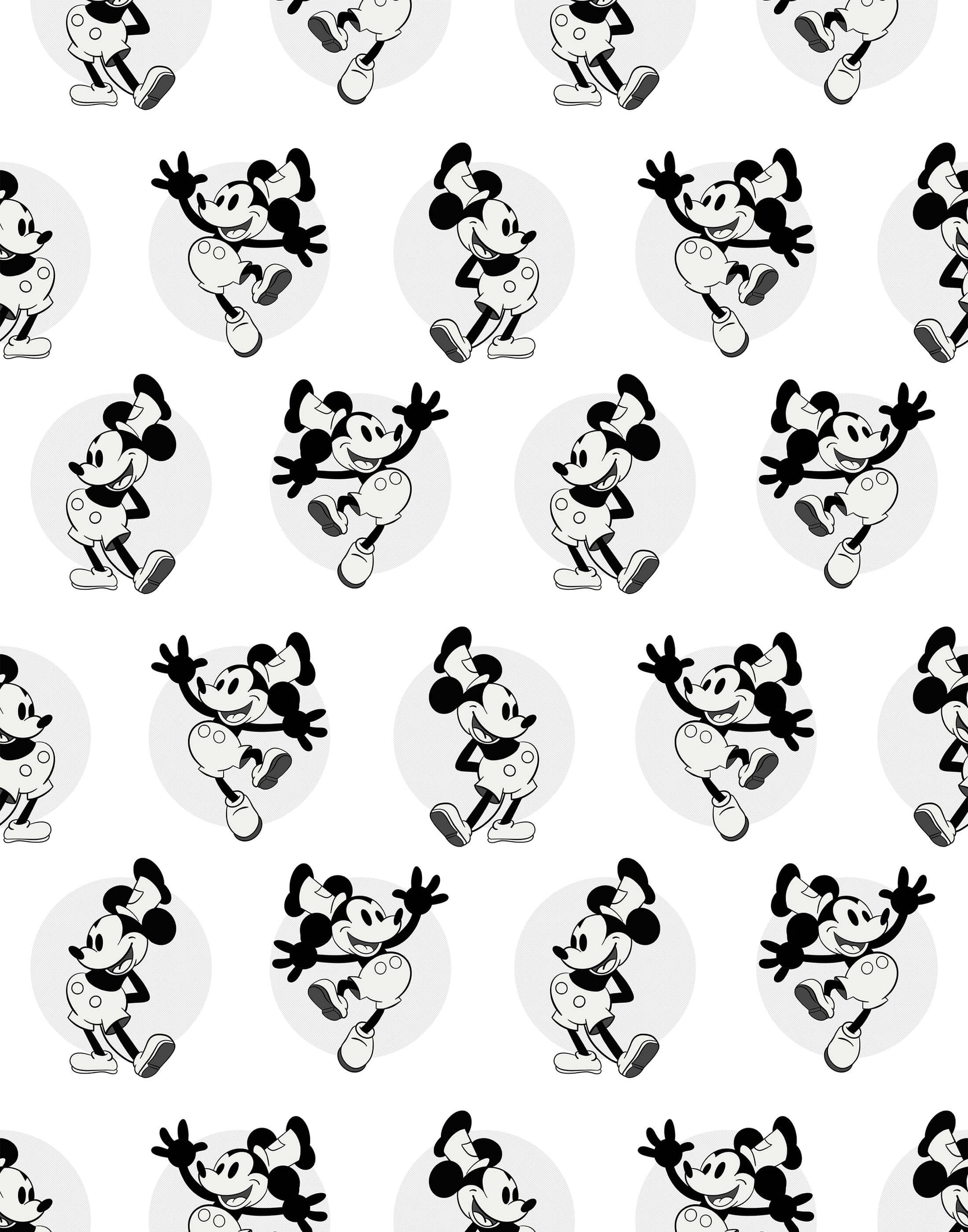 Willie   | S251027 |