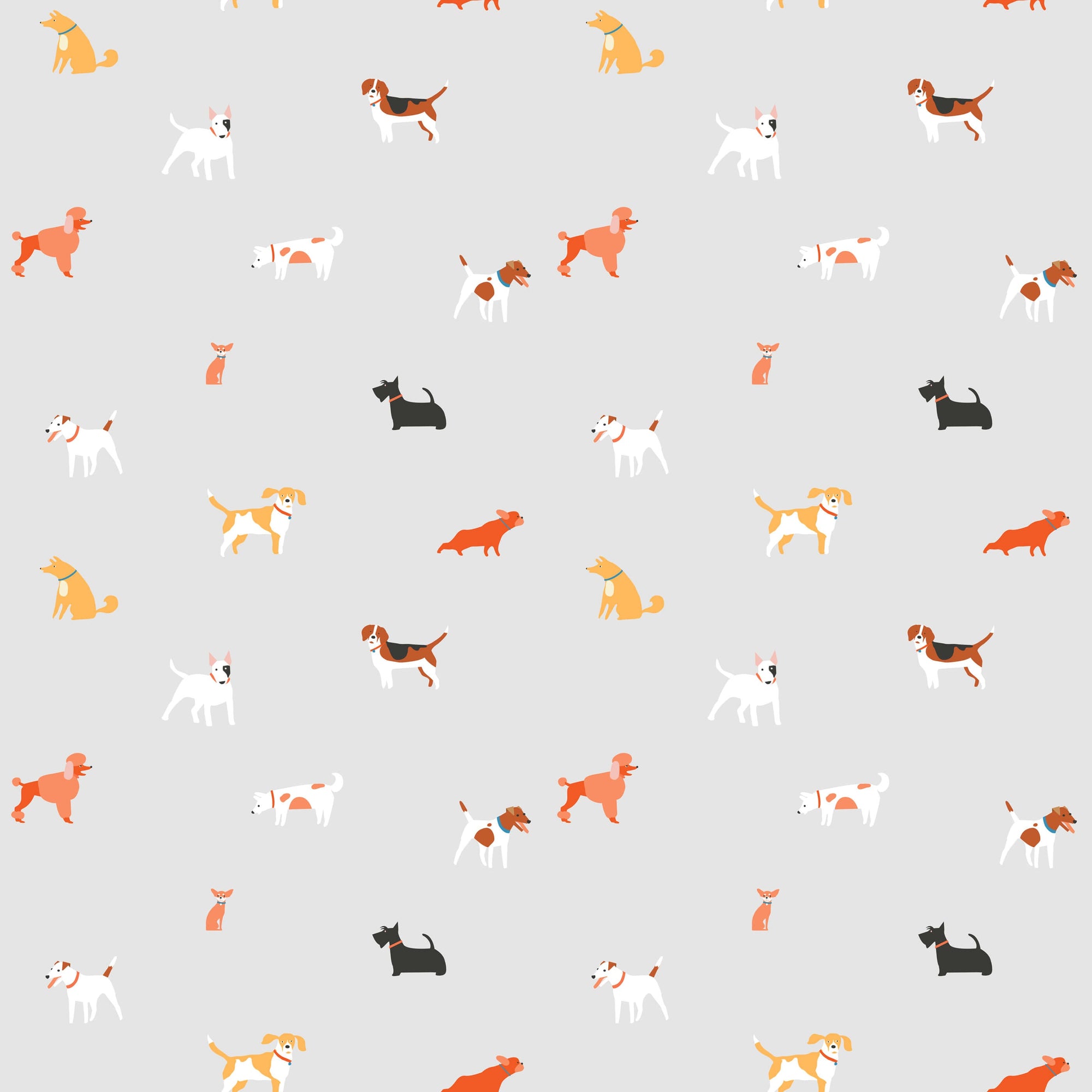 Woof Kang | S251100 |