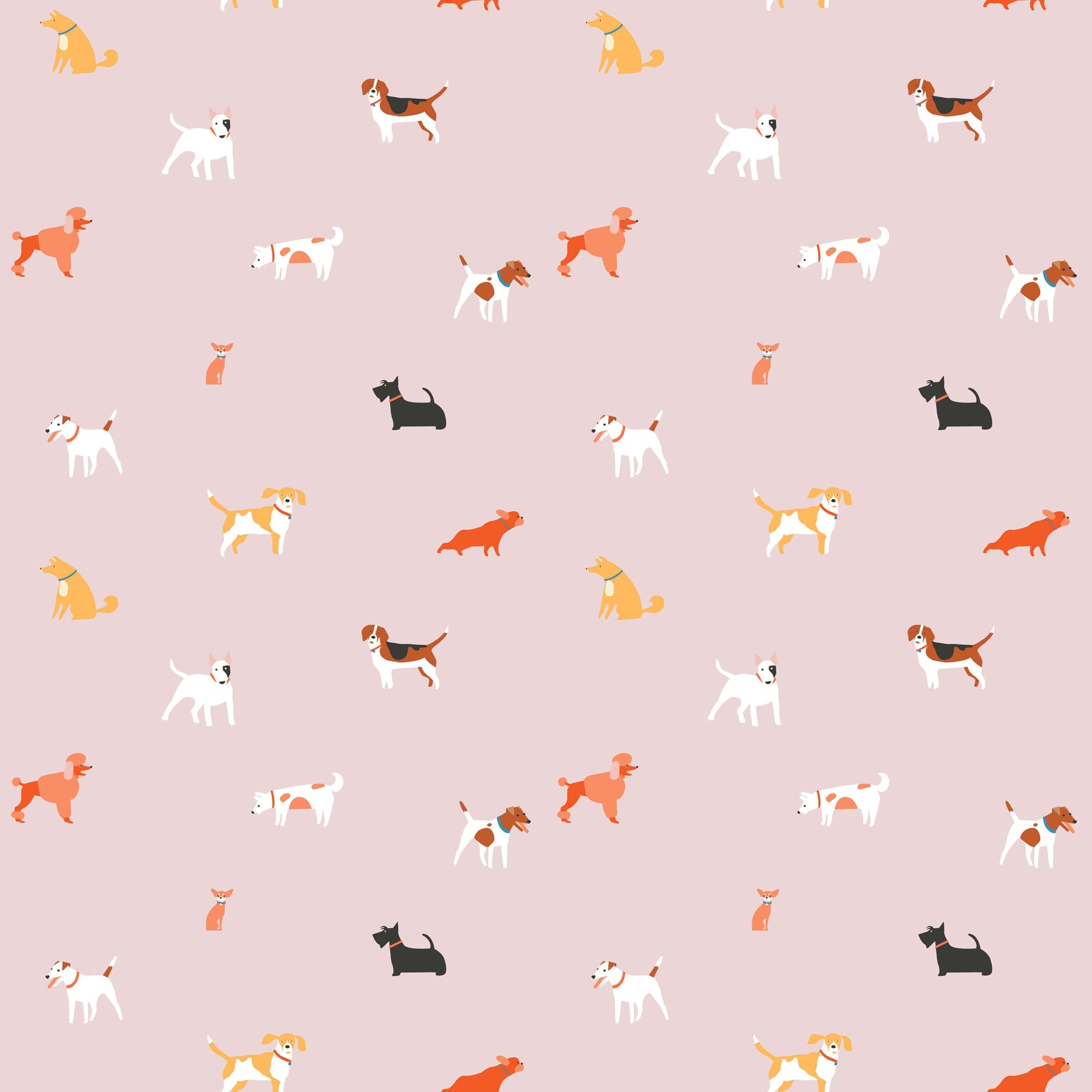 Woof Kang | S251100 |