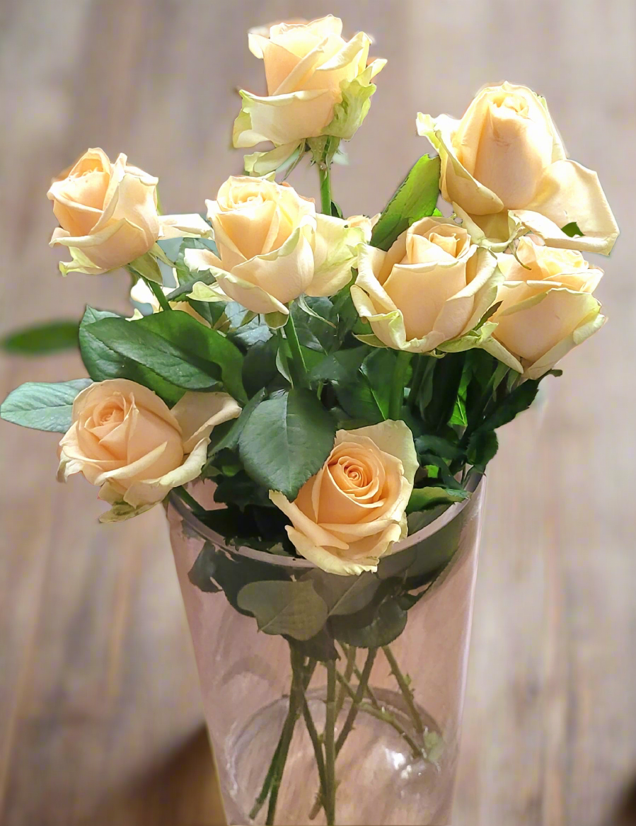 Avalanche Peach Roses  | S25334