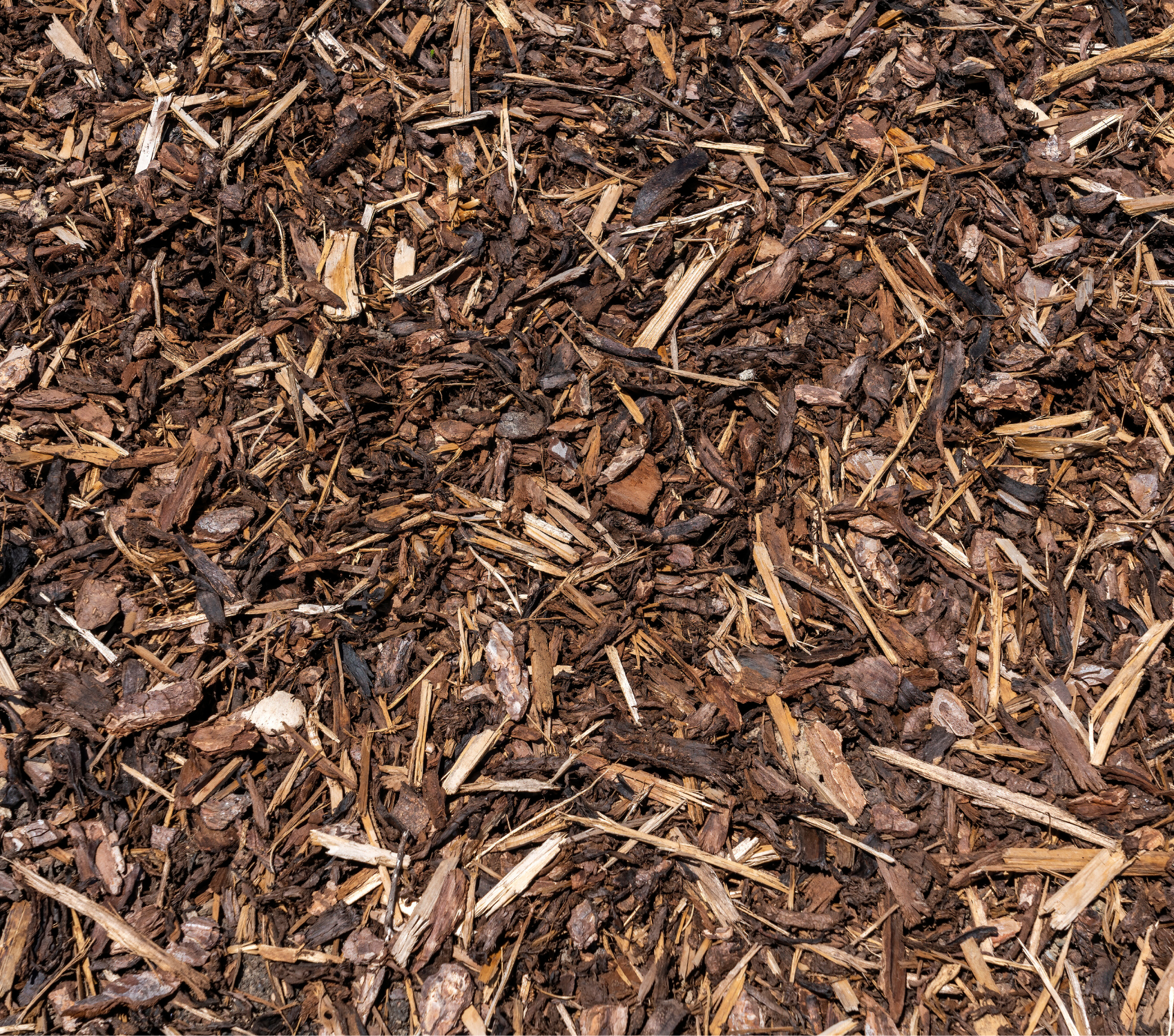 Bark Mulch | S251476