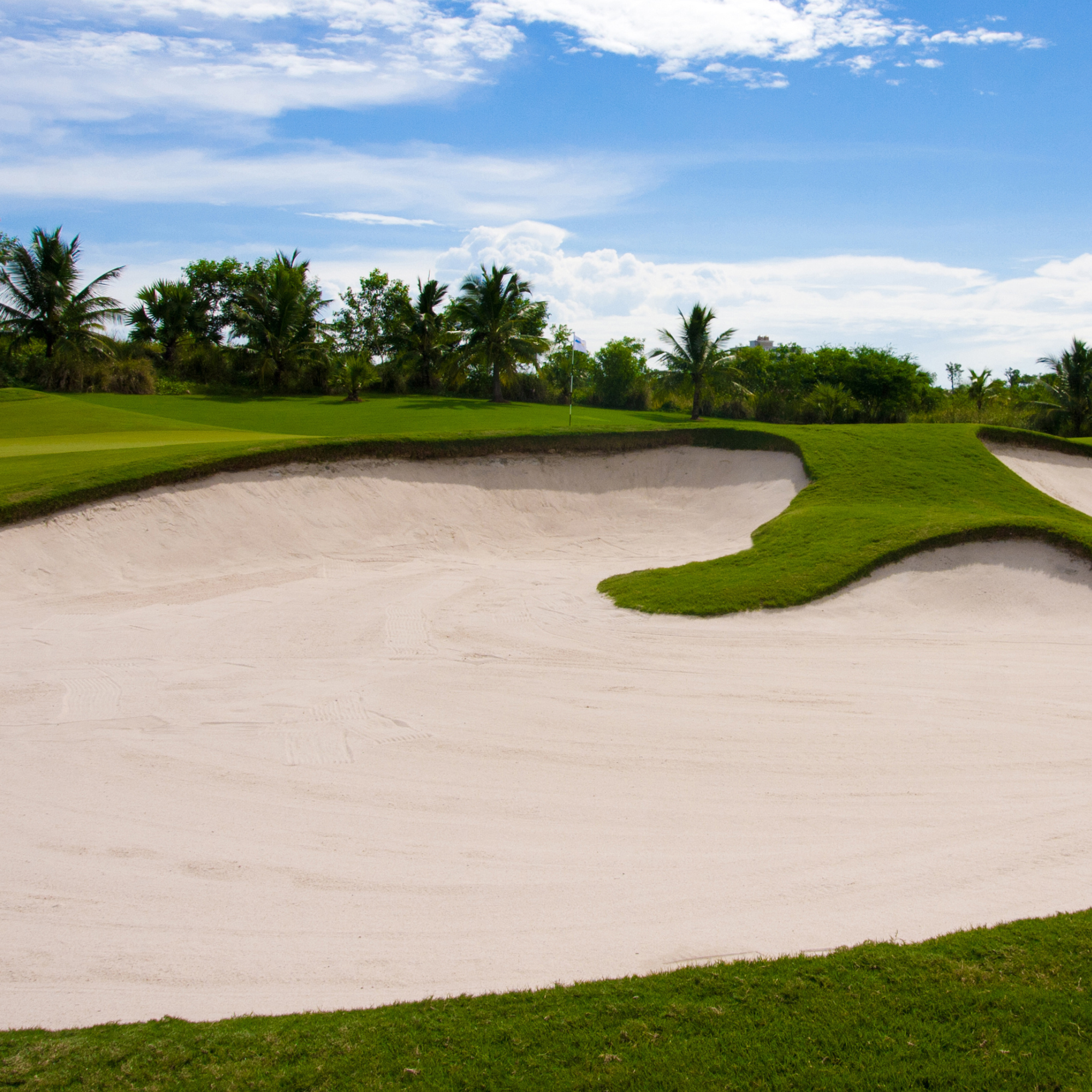 Golf Course Bunker Sand  | S251449