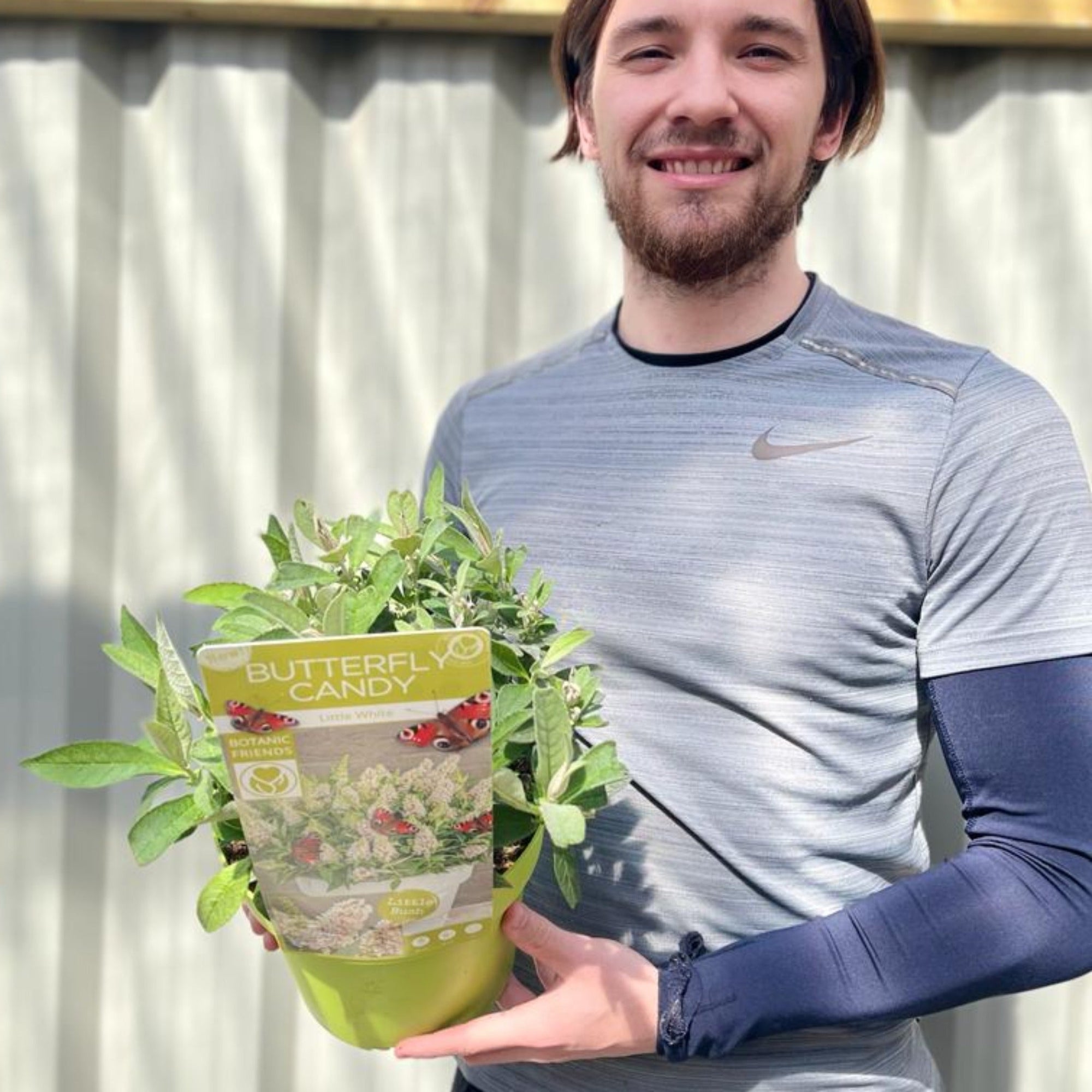 Buddleja Butterfly Candy 'Little White' 9cm/1L/3L  | S251618