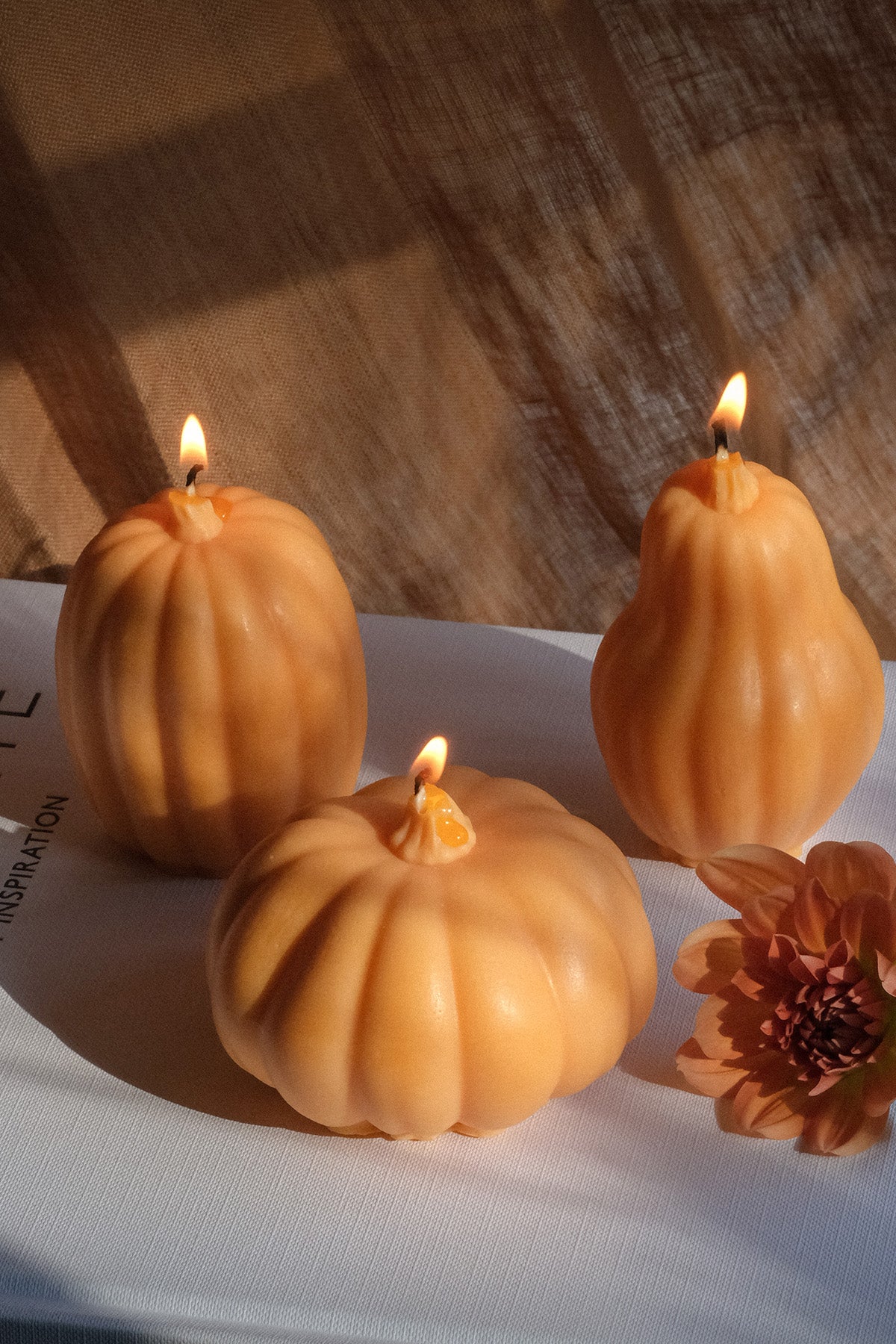 Large Pumpkin Shaped Candles  | S251499