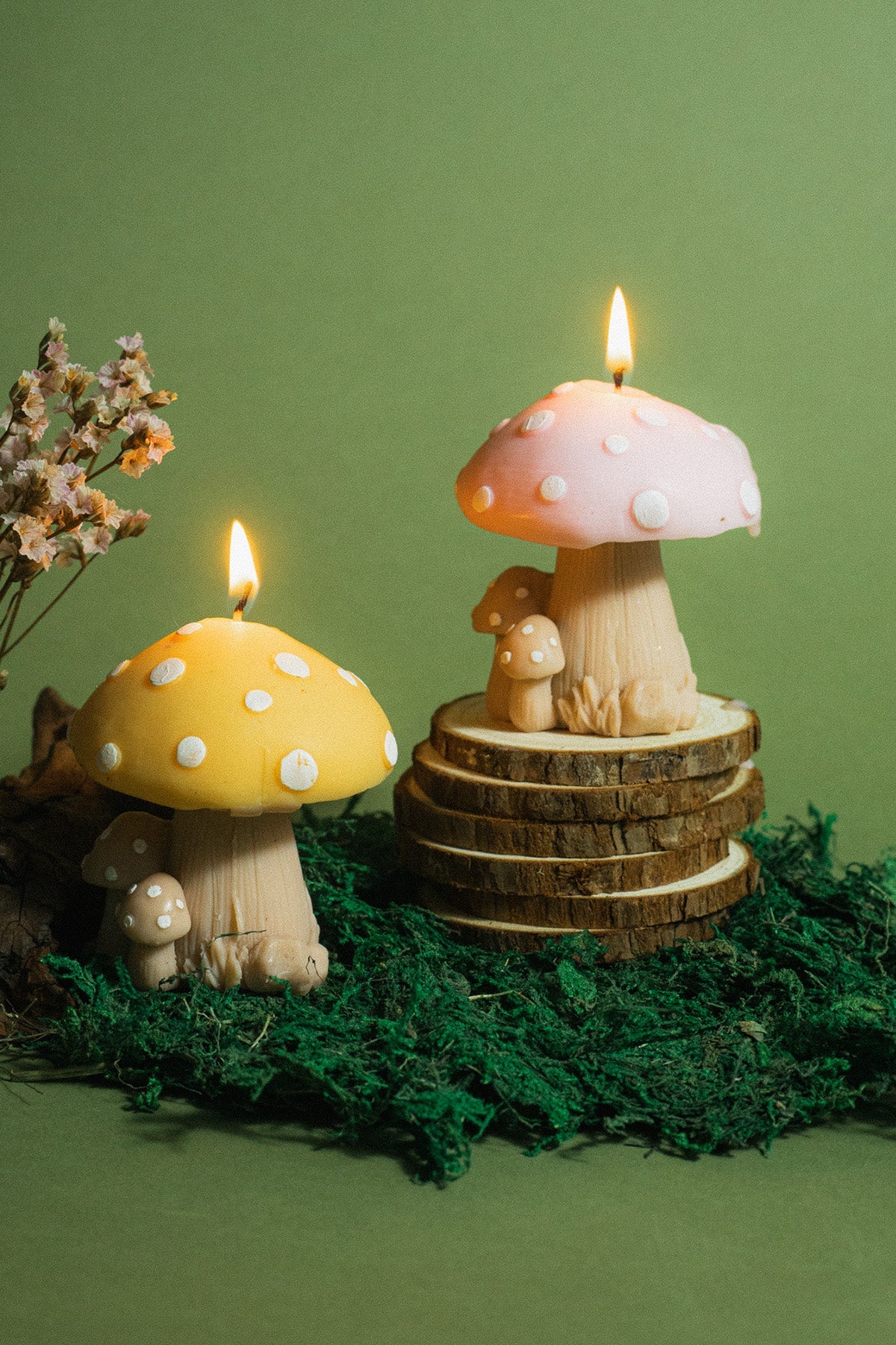 Mushroom Family Candle  | S251509