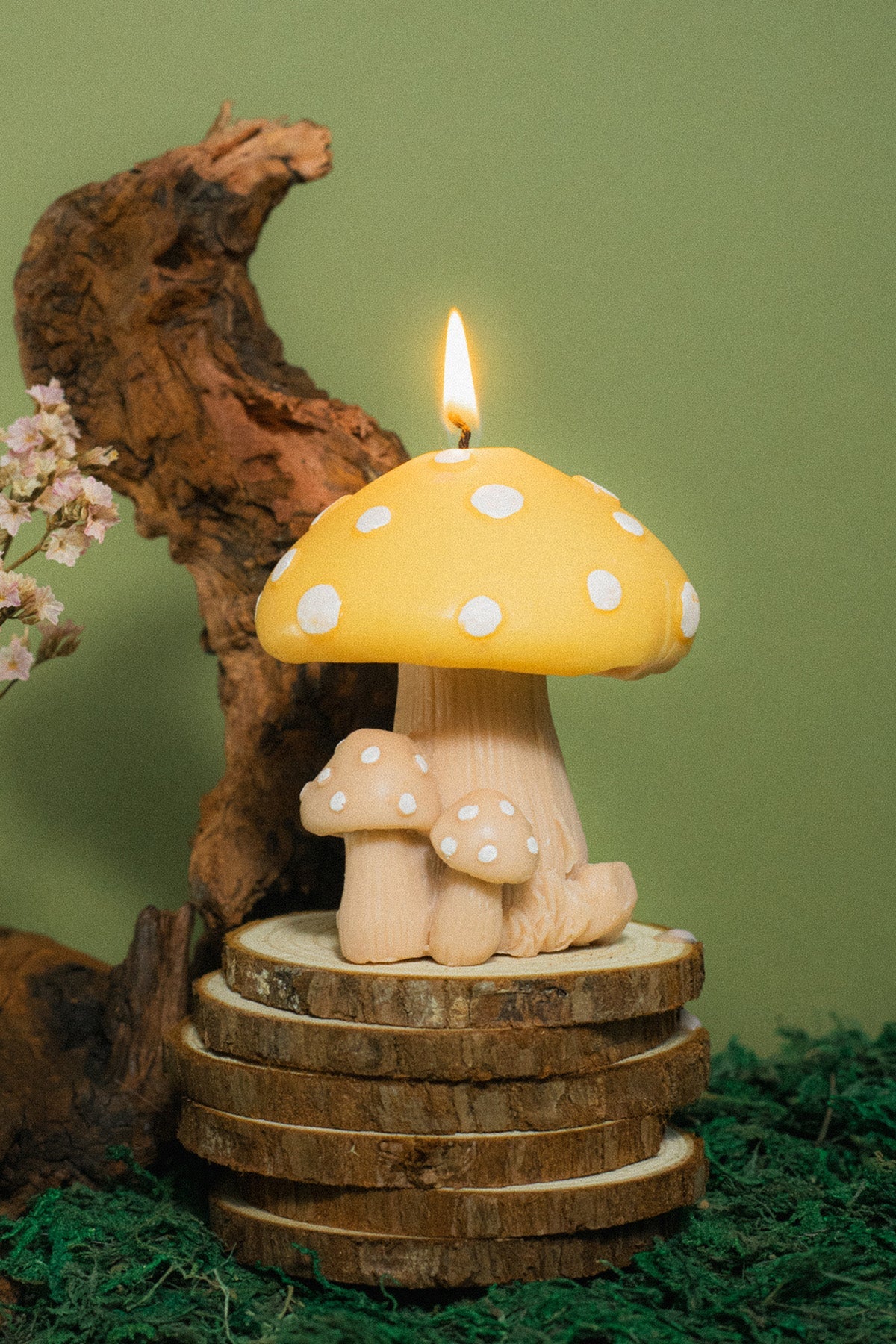 Mushroom Family Candle  | S251509
